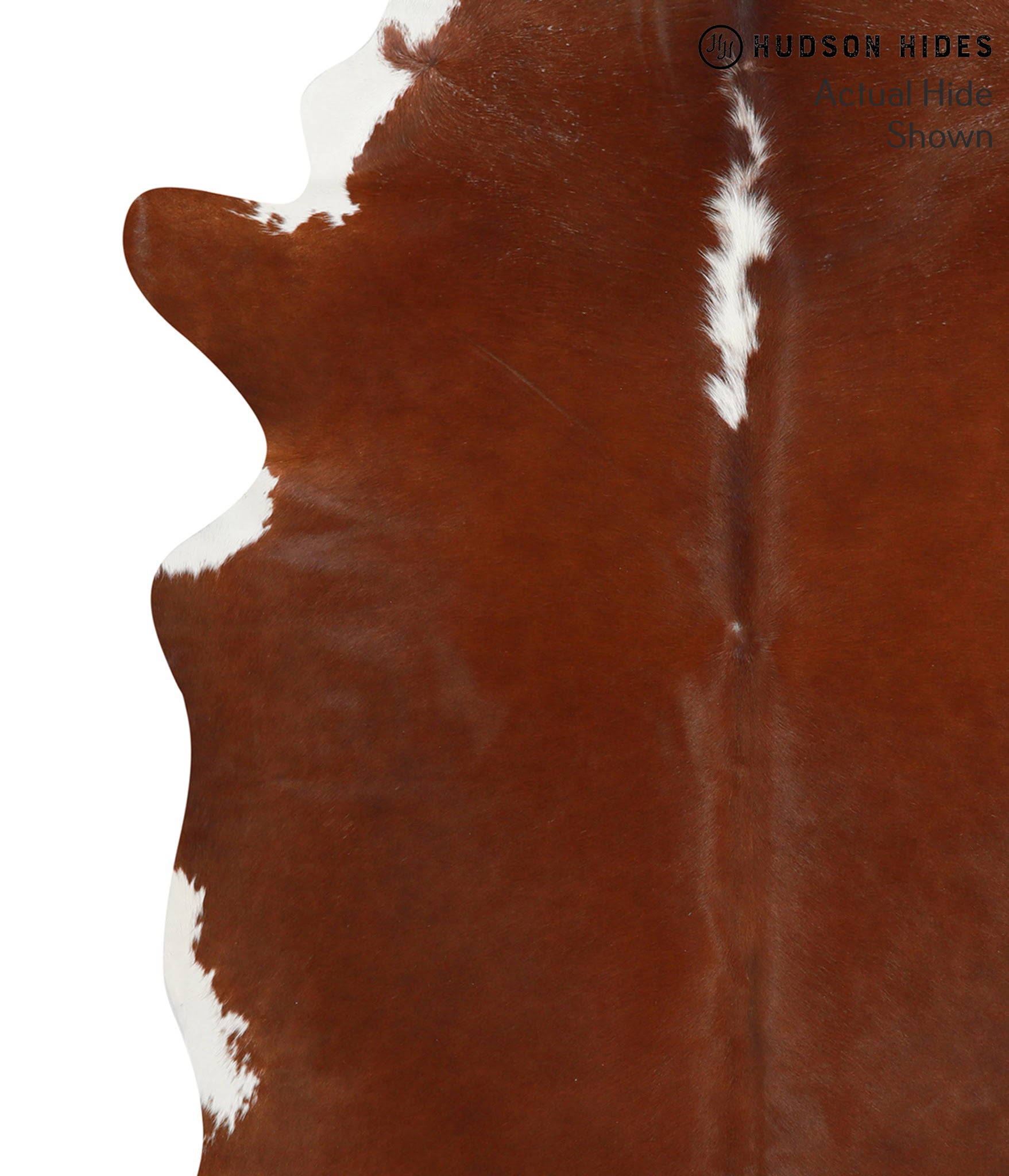 Brown and White Regular Cowhide Rug #40292
