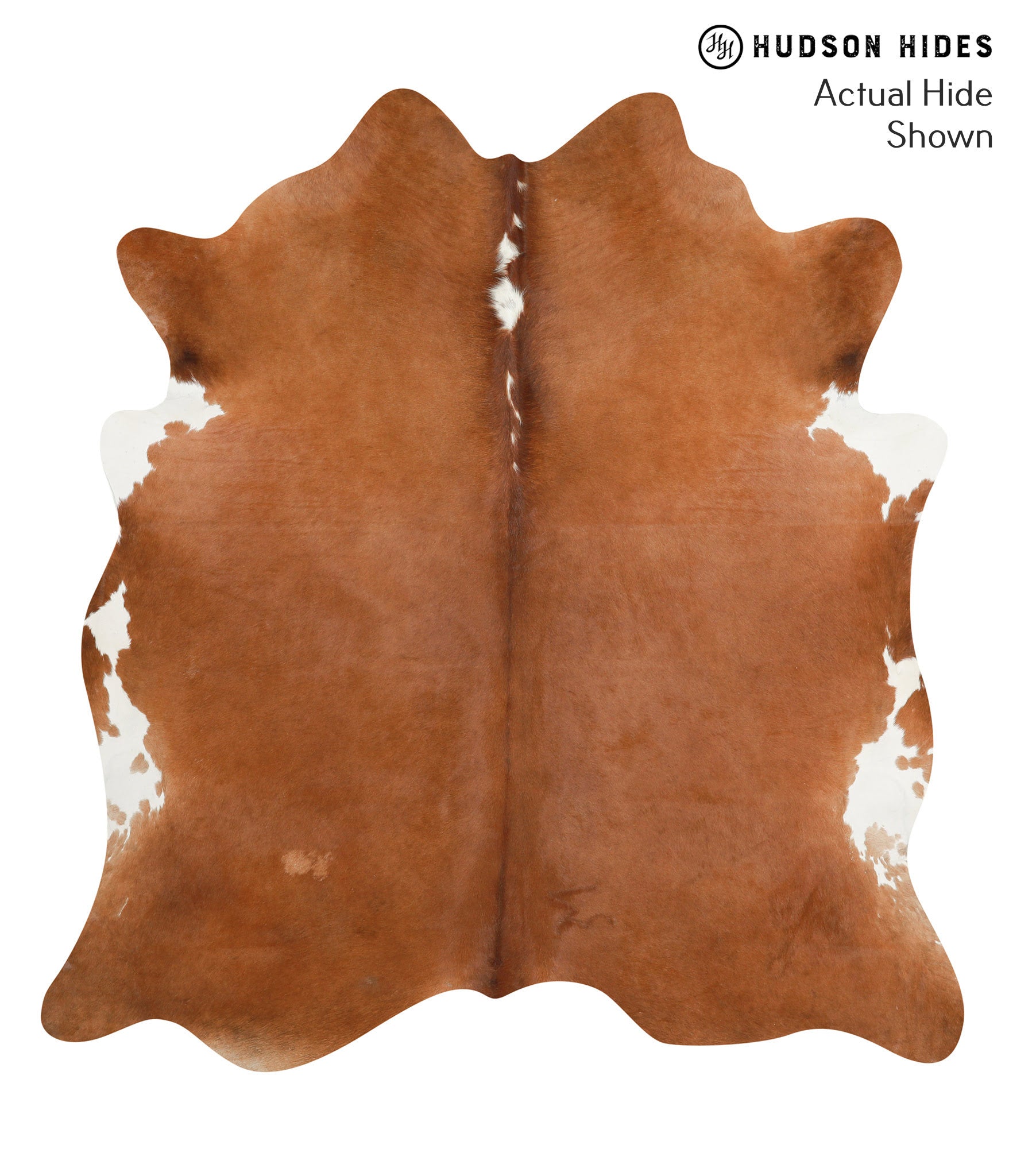 Brown and White Regular Cowhide Rug #40293