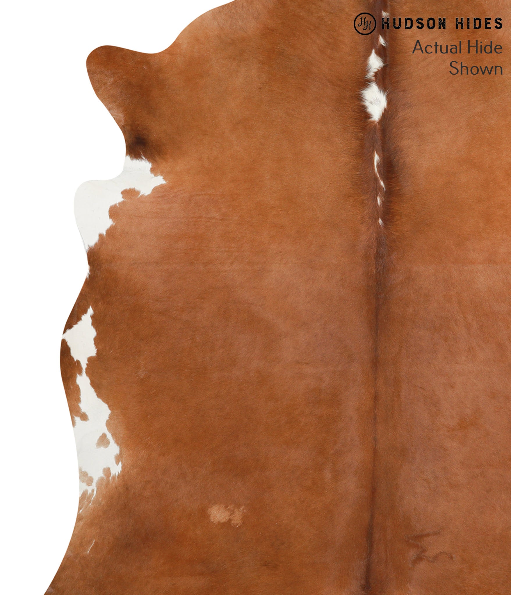 Brown and White Regular Cowhide Rug #40293