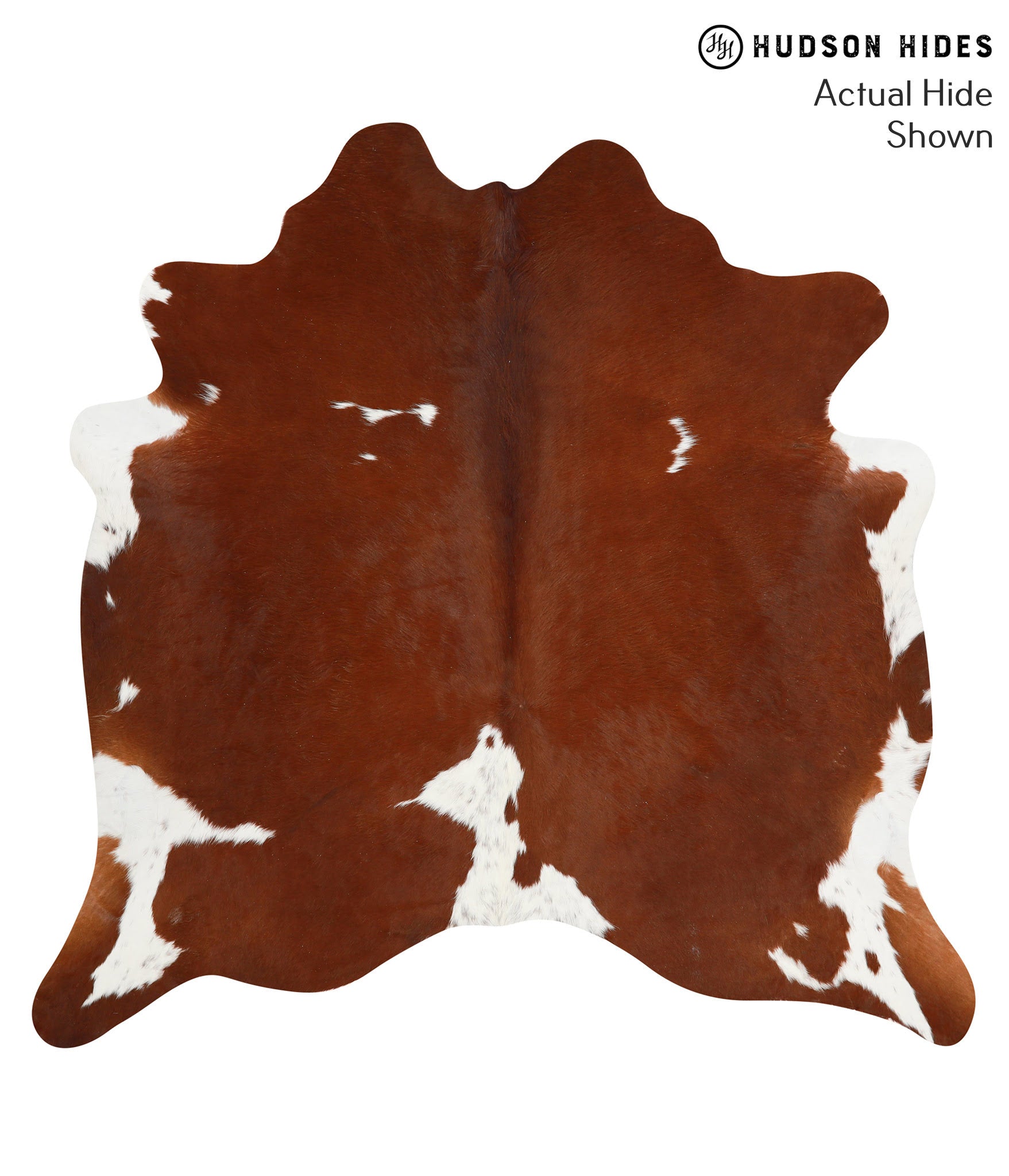 Brown and White Cowhide Rug #40295