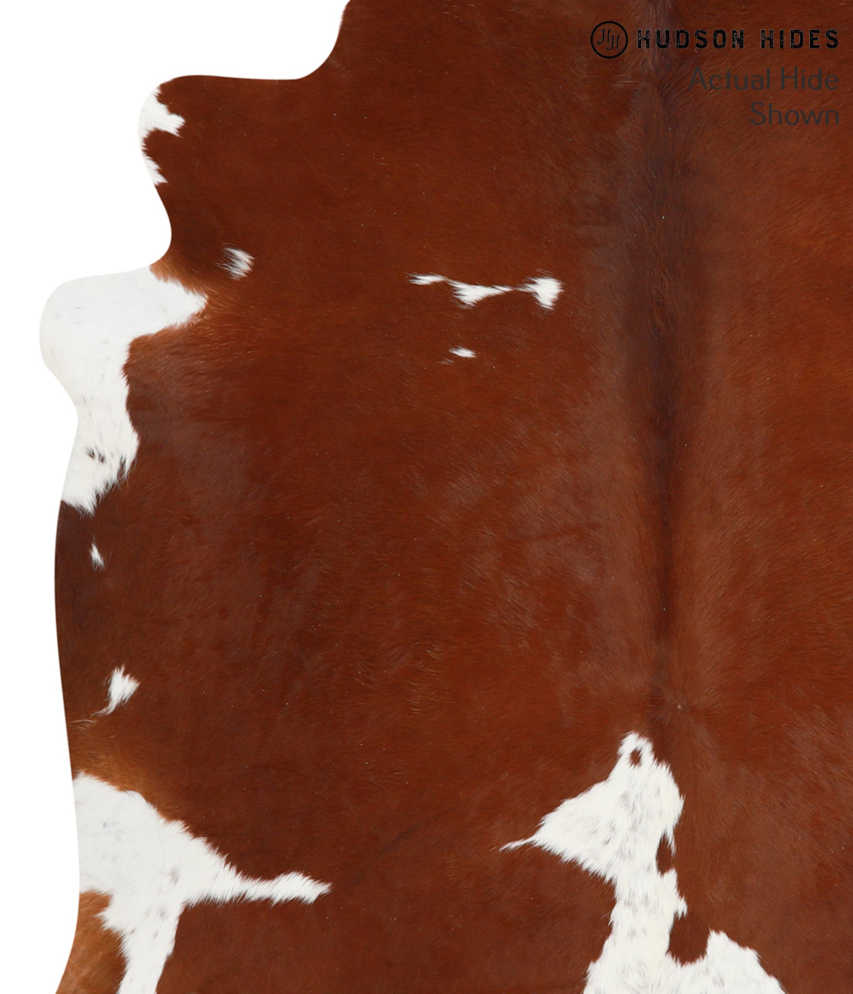 Brown and White Cowhide Rug #40295