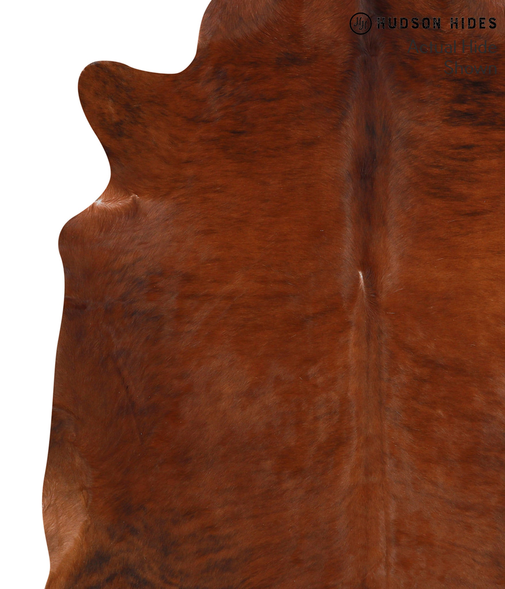 Medium Brindle Cowhide Rug #40307