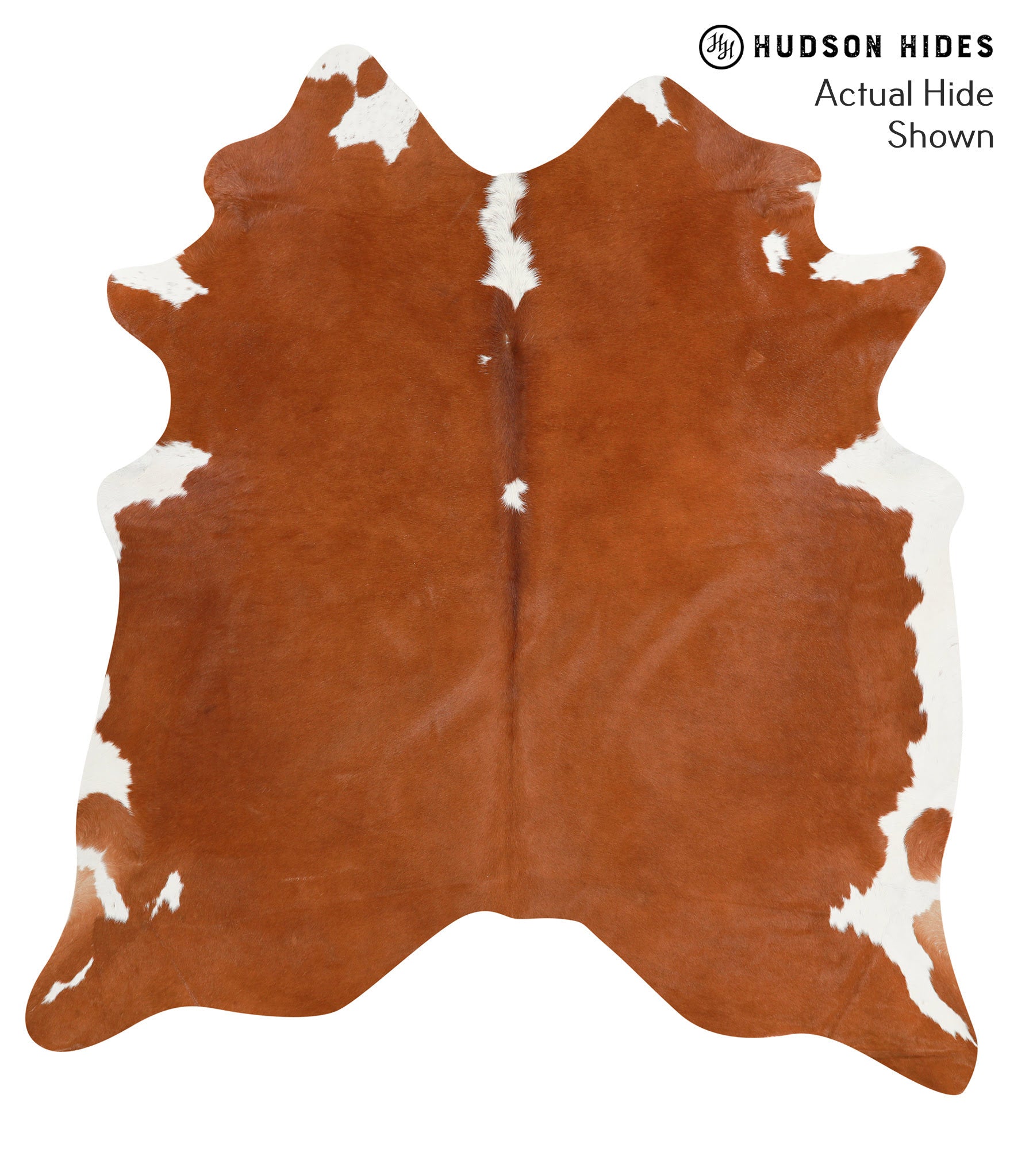 Brown and White Regular Cowhide Rug #40336