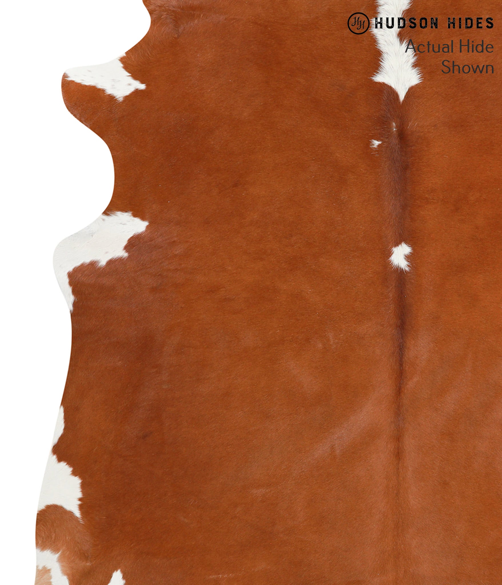 Brown and White Regular Cowhide Rug #40336