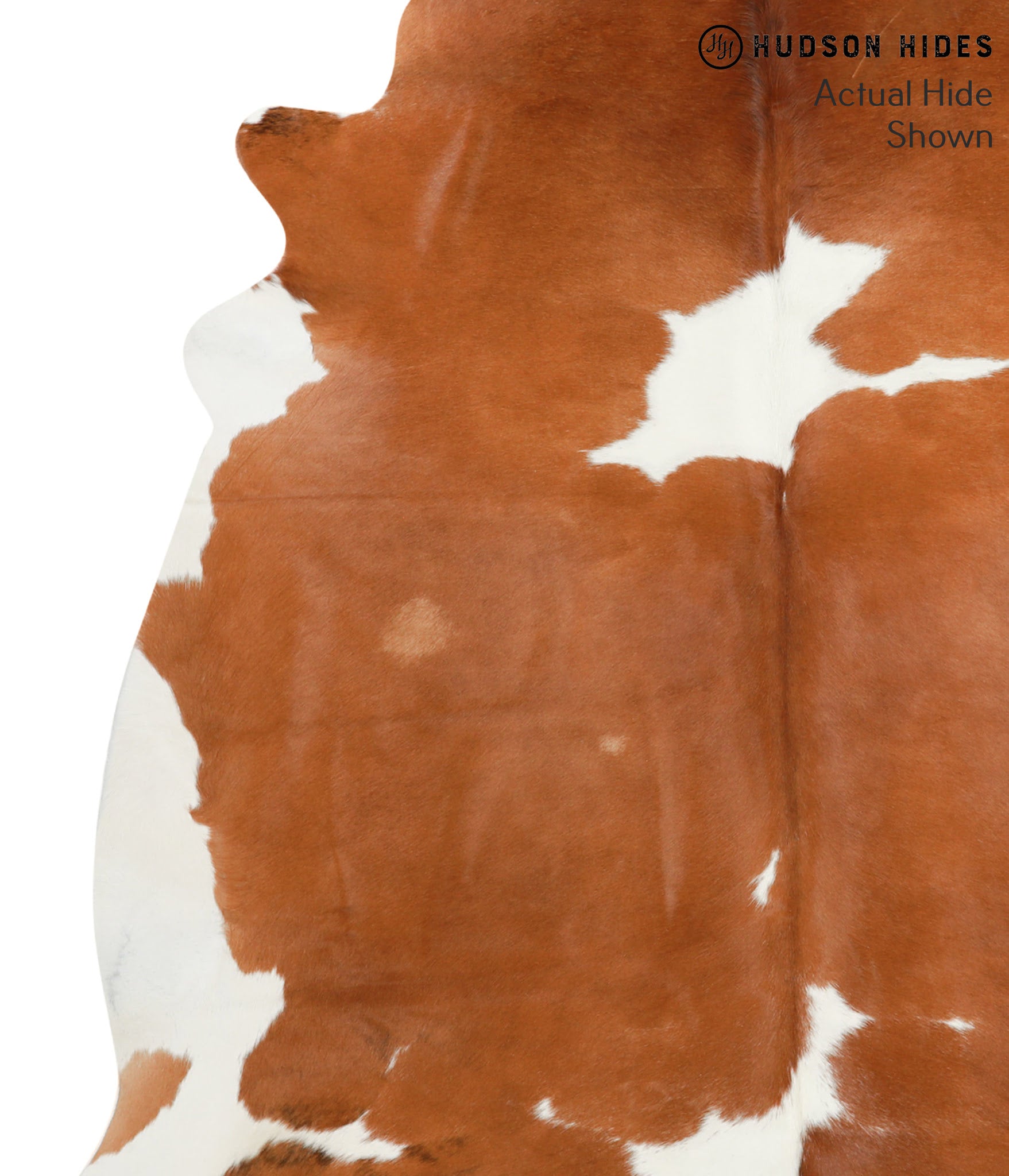 Brown and White Cowhide Rug #40337