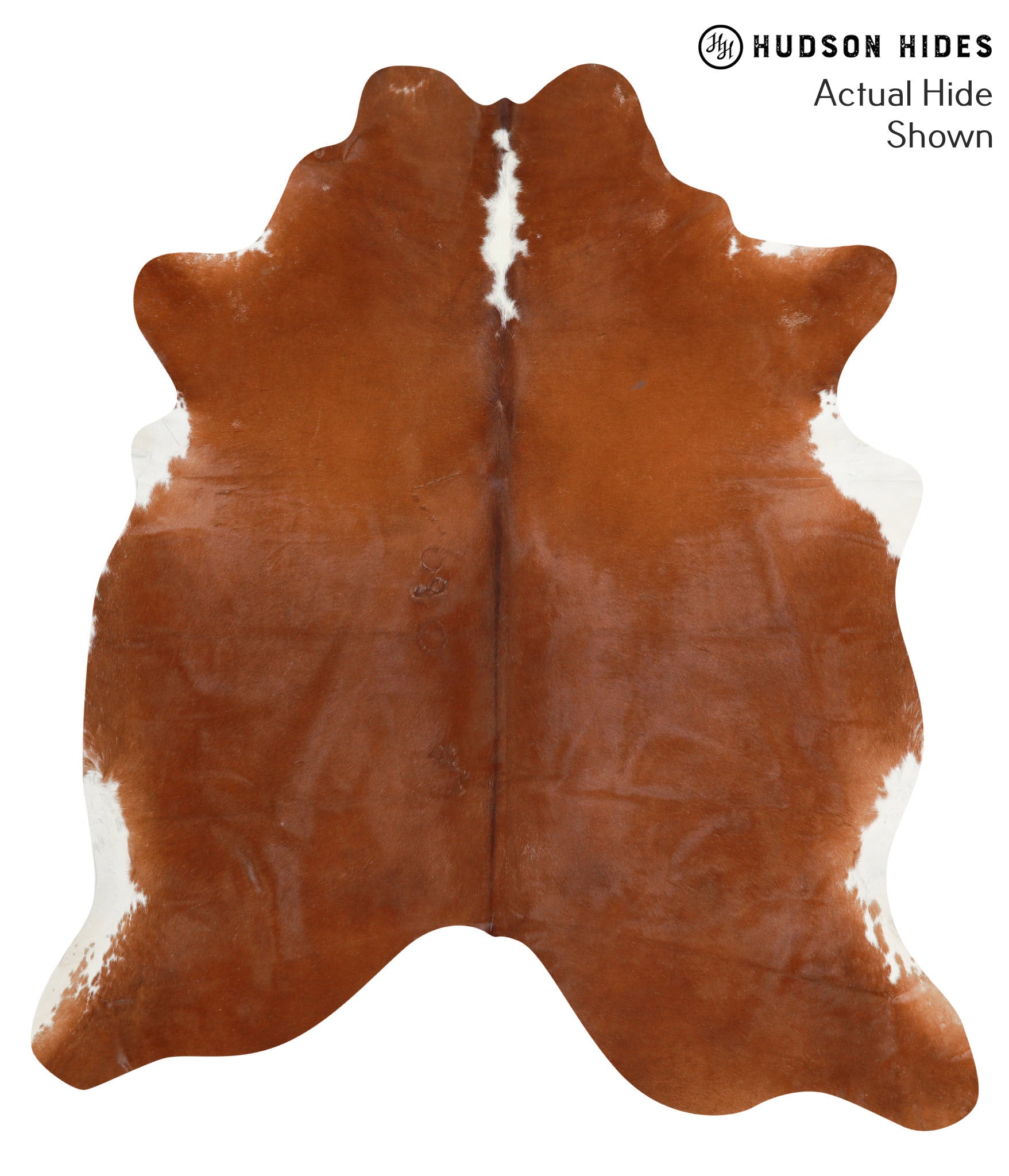 Brown and White Regular Cowhide Rug #40343