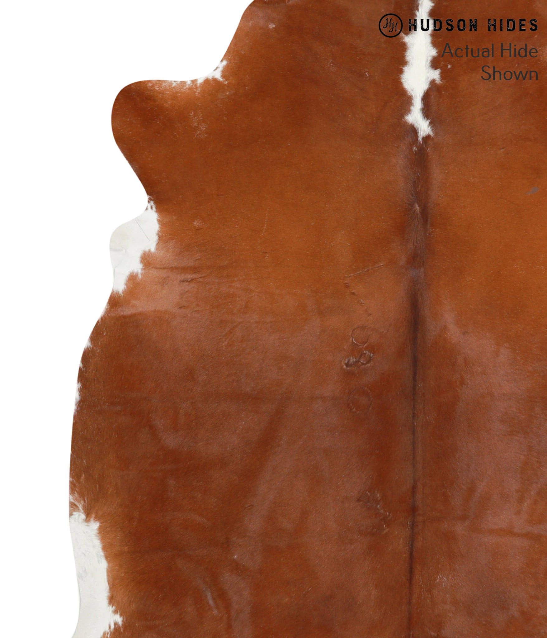 Brown and White Regular Cowhide Rug #40343