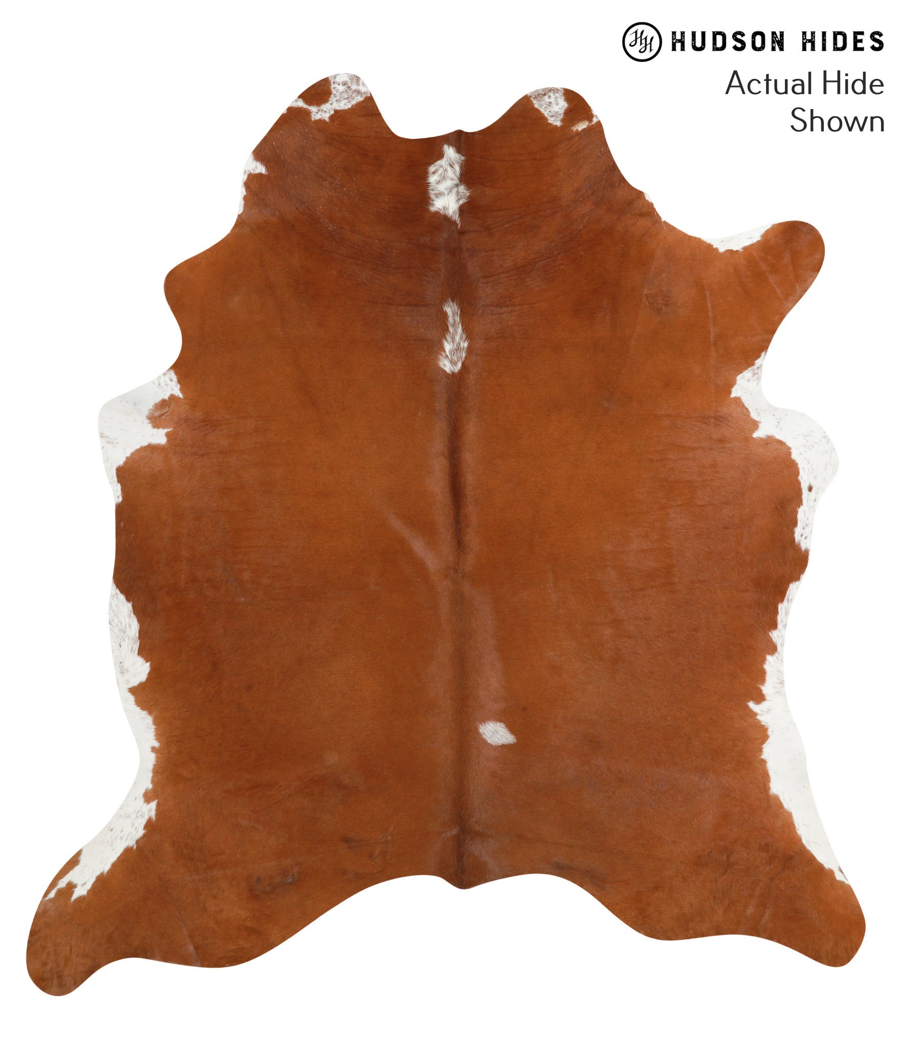 Brown and White Regular Cowhide Rug #40374