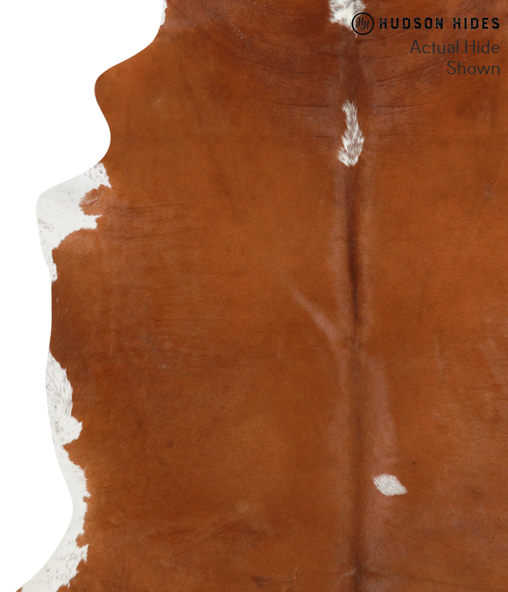 Brown and White Regular Cowhide Rug #40374