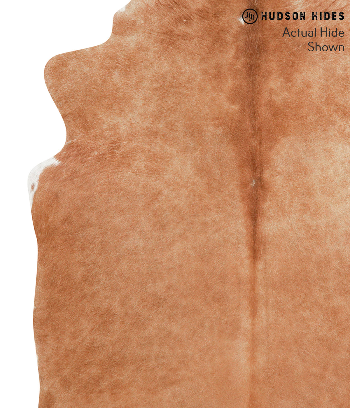 Solid Brown X-Large Brazilian Cowhide Rug 6'8"H x 6'0"W #40403 by Hudson Hides