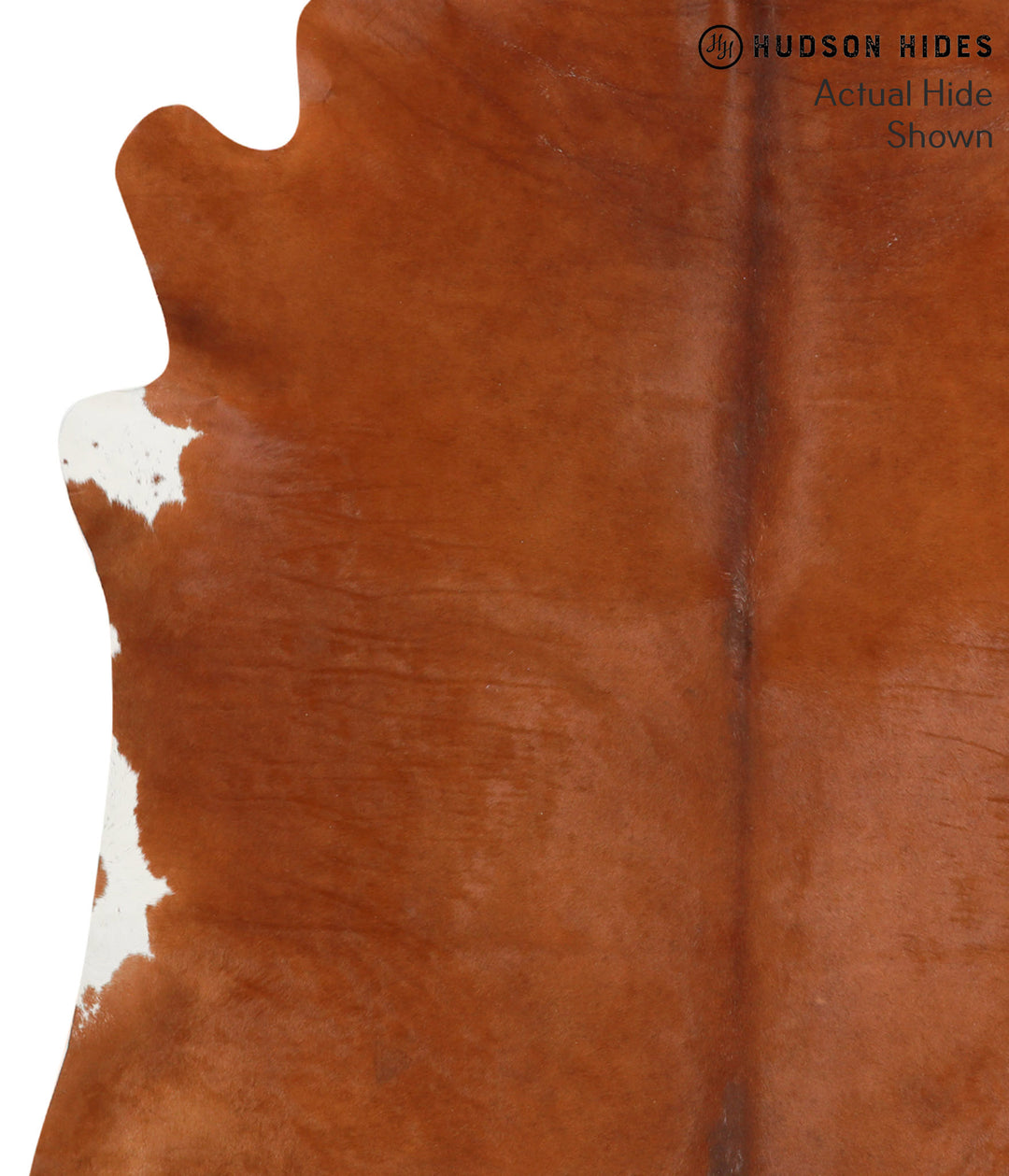 Solid Brown X-Large Brazilian Cowhide Rug 6'9"H x 6'2"W #40458 by Huds