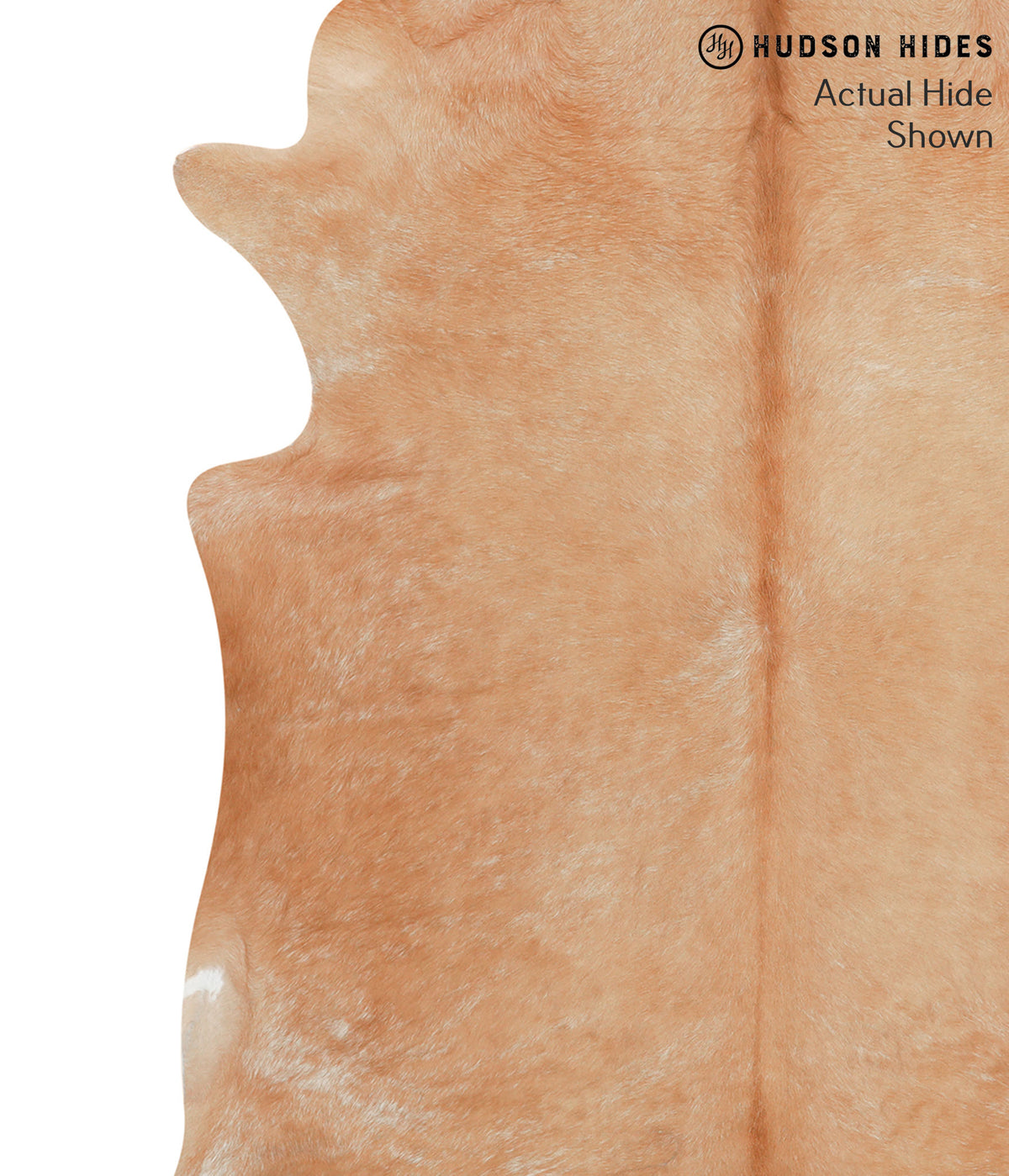 Solid Brown X-Large Brazilian Cowhide Rug 7'3"H x 6'4"W #40500 by Hudson Hides