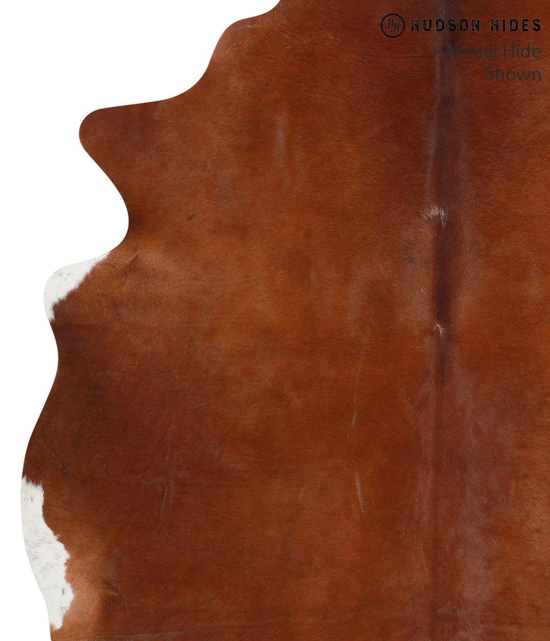 Solid Brown X-Large Brazilian Cowhide Rug 6'9"H x 6'5"W #40576 by Huds