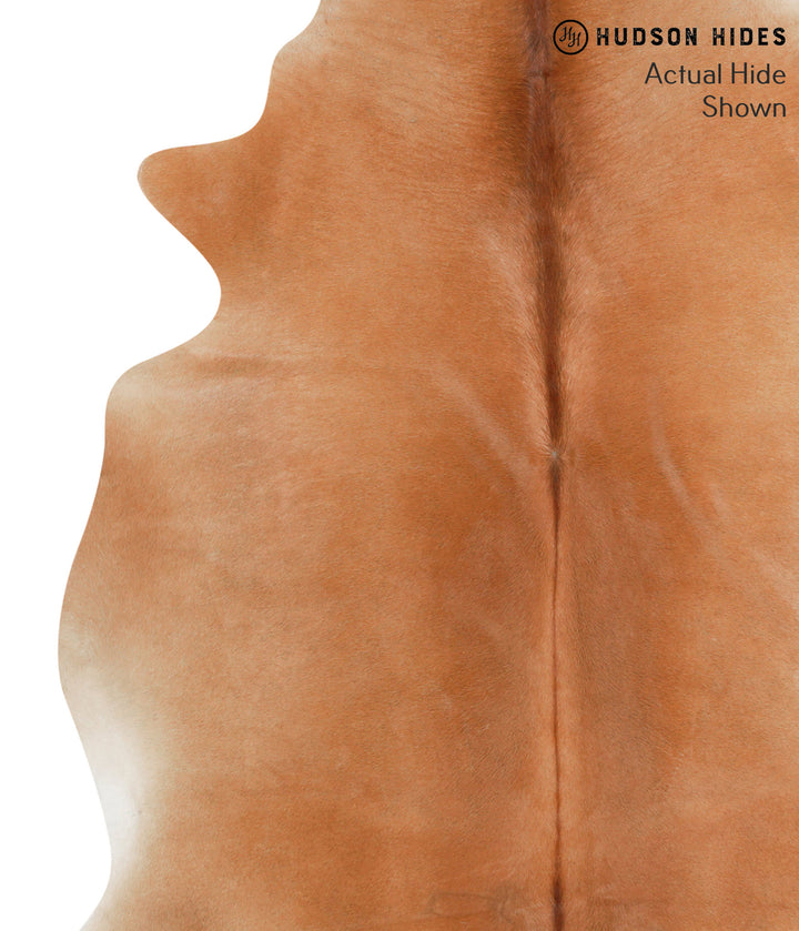Solid Brown X-Large Brazilian Cowhide Rug 7'1"H x 6'4"W #40588 by Hudson Hides