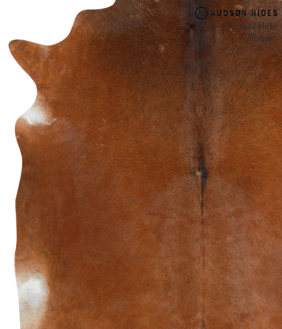 Solid Brown X-Large Brazilian Cowhide Rug 7'1"H x 6'7"W #40604 by Huds