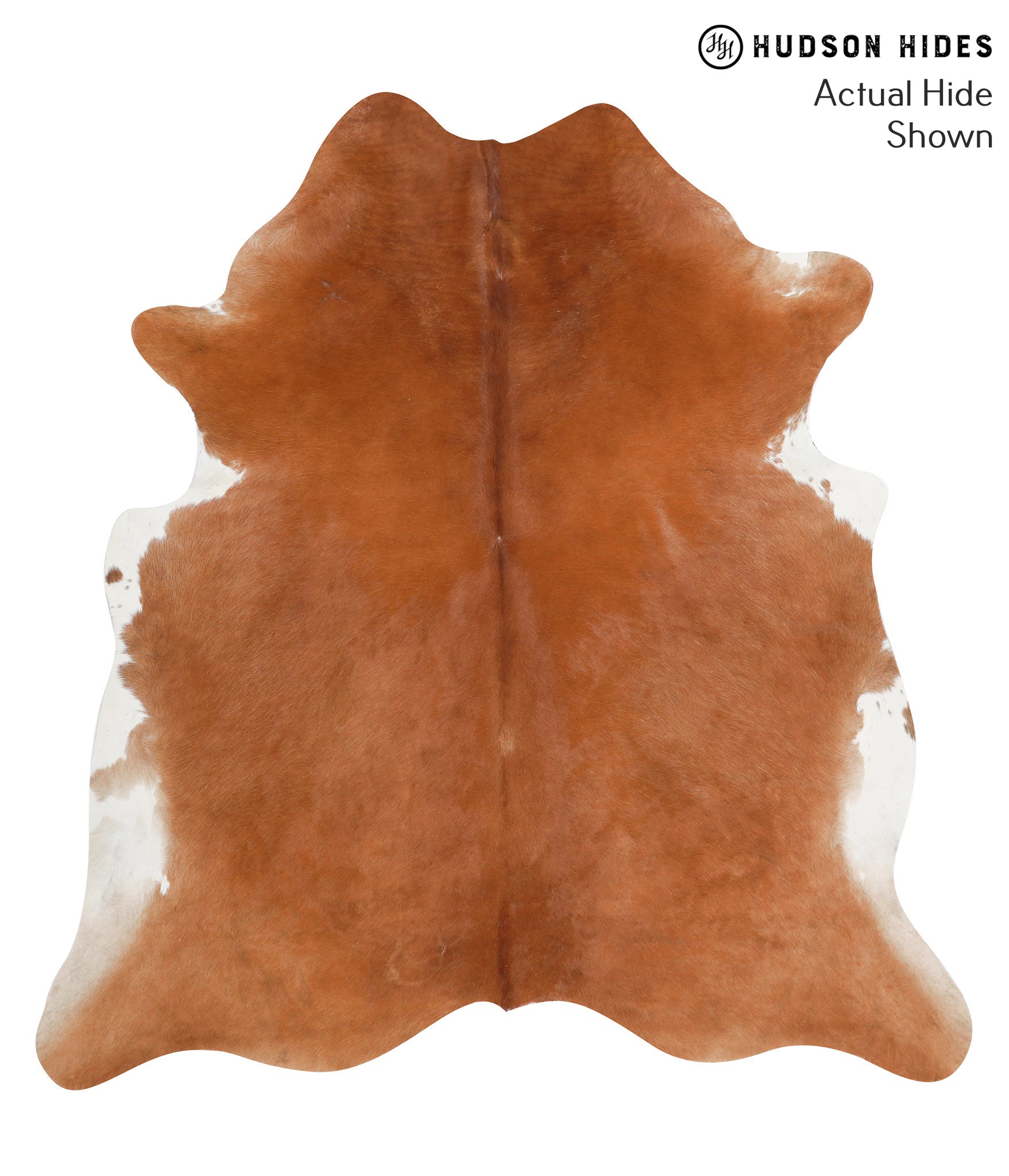 Solid Brown Cowhide Rug #40799