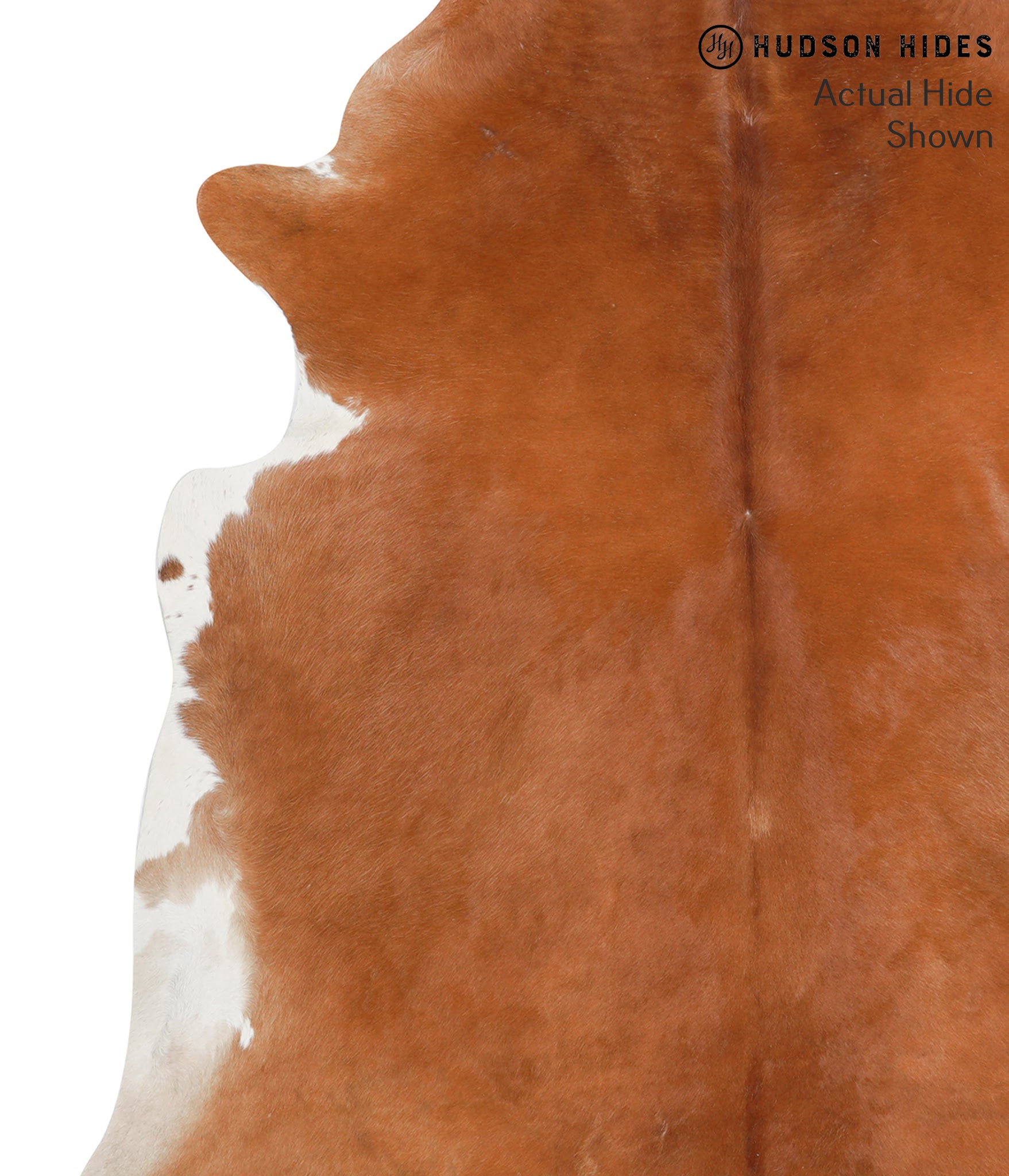 Solid Brown Cowhide Rug #40799