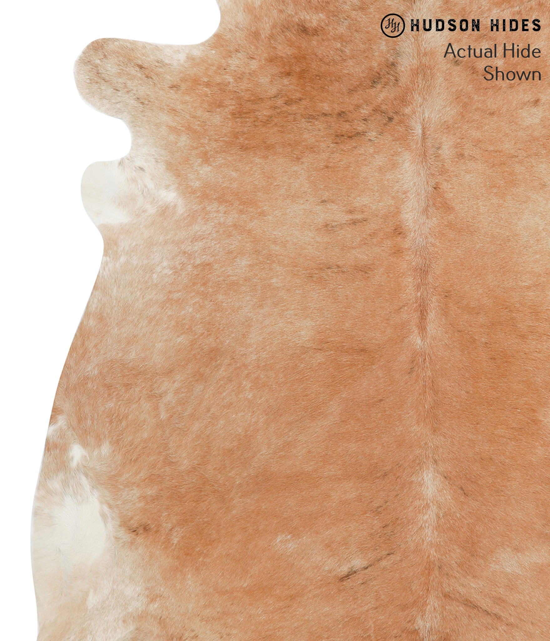 Caramel Cowhide Rug #40812