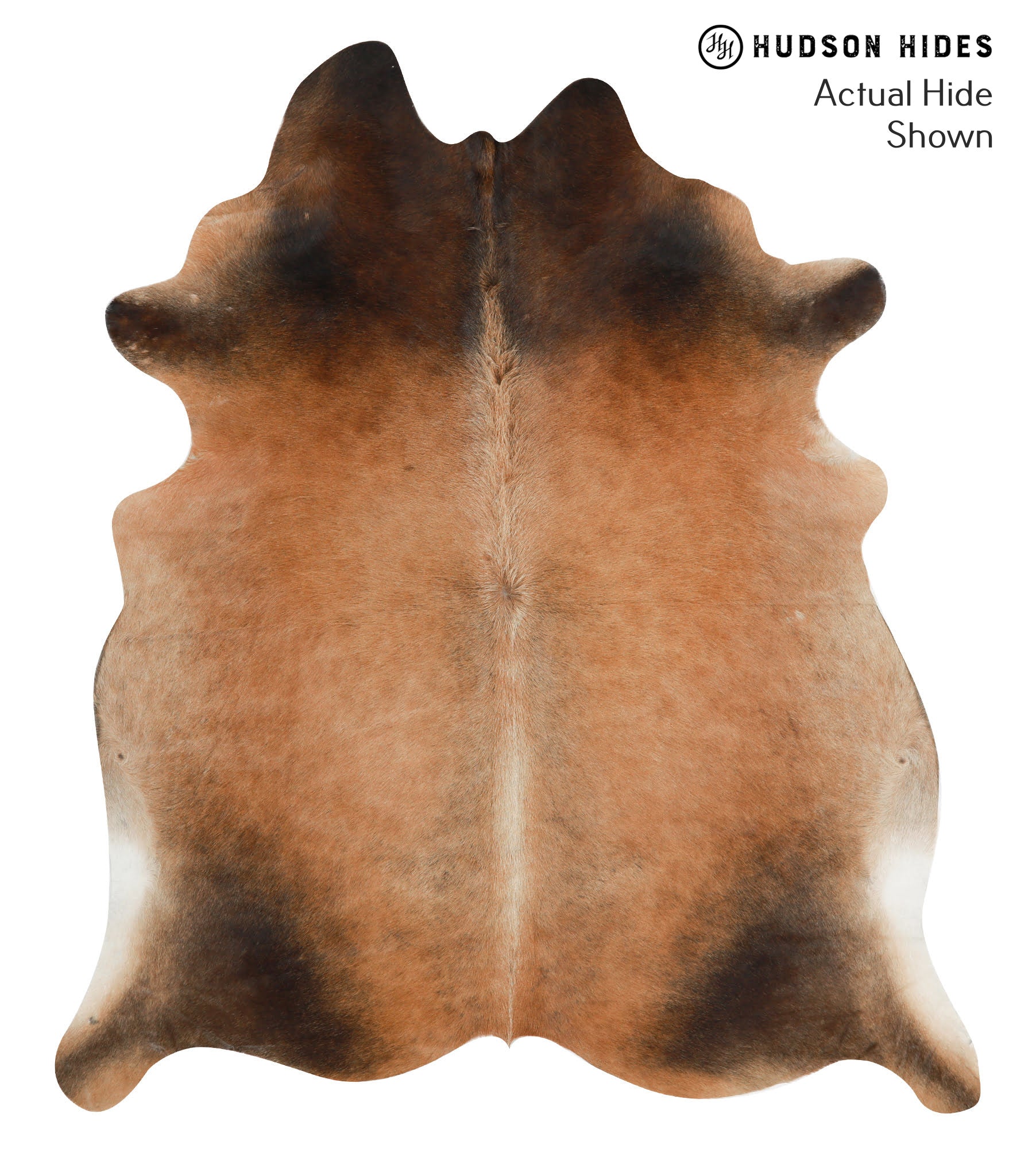 Brown with Red Cowhide Rug #40855