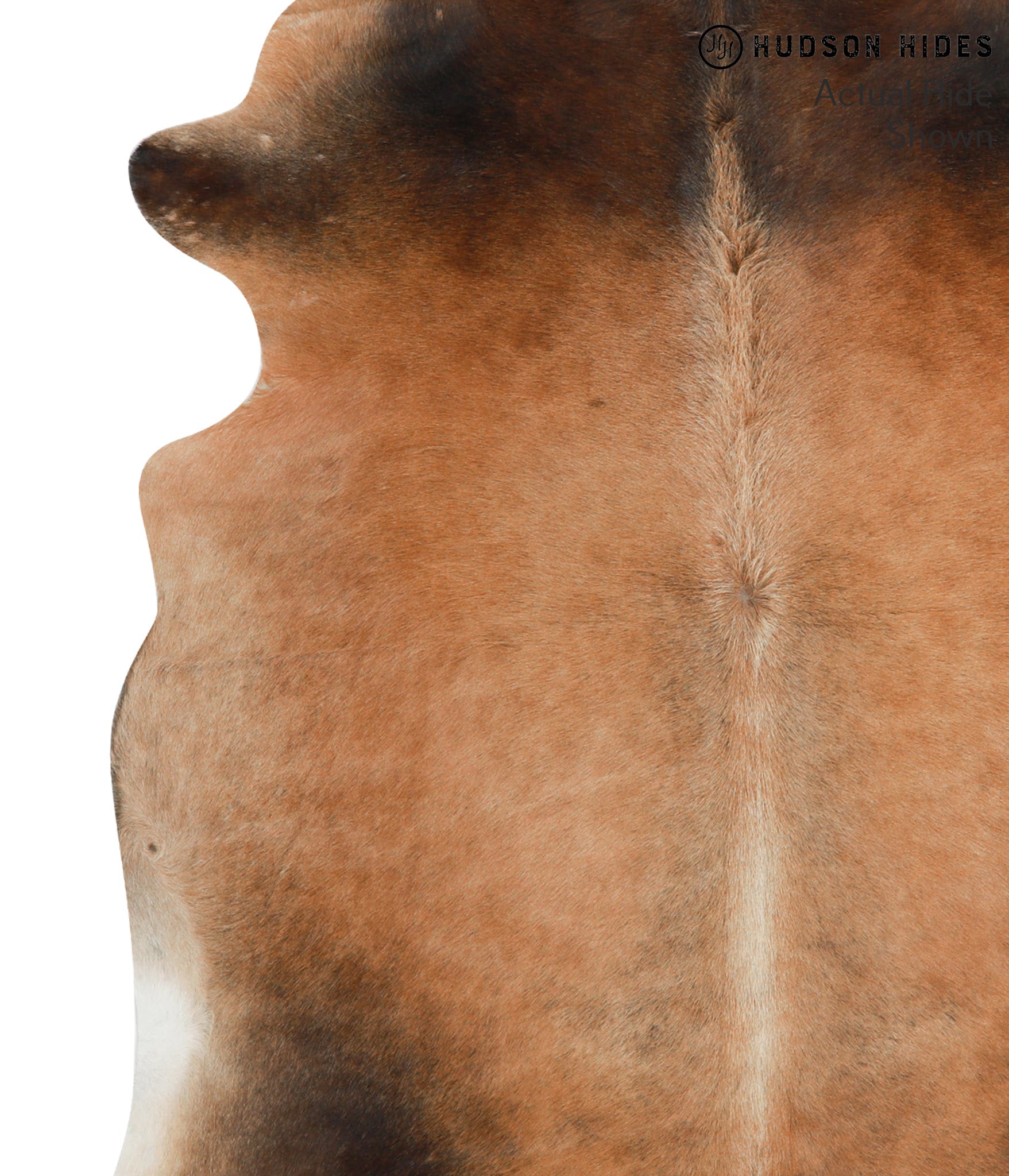 Brown with Red Cowhide Rug #40855