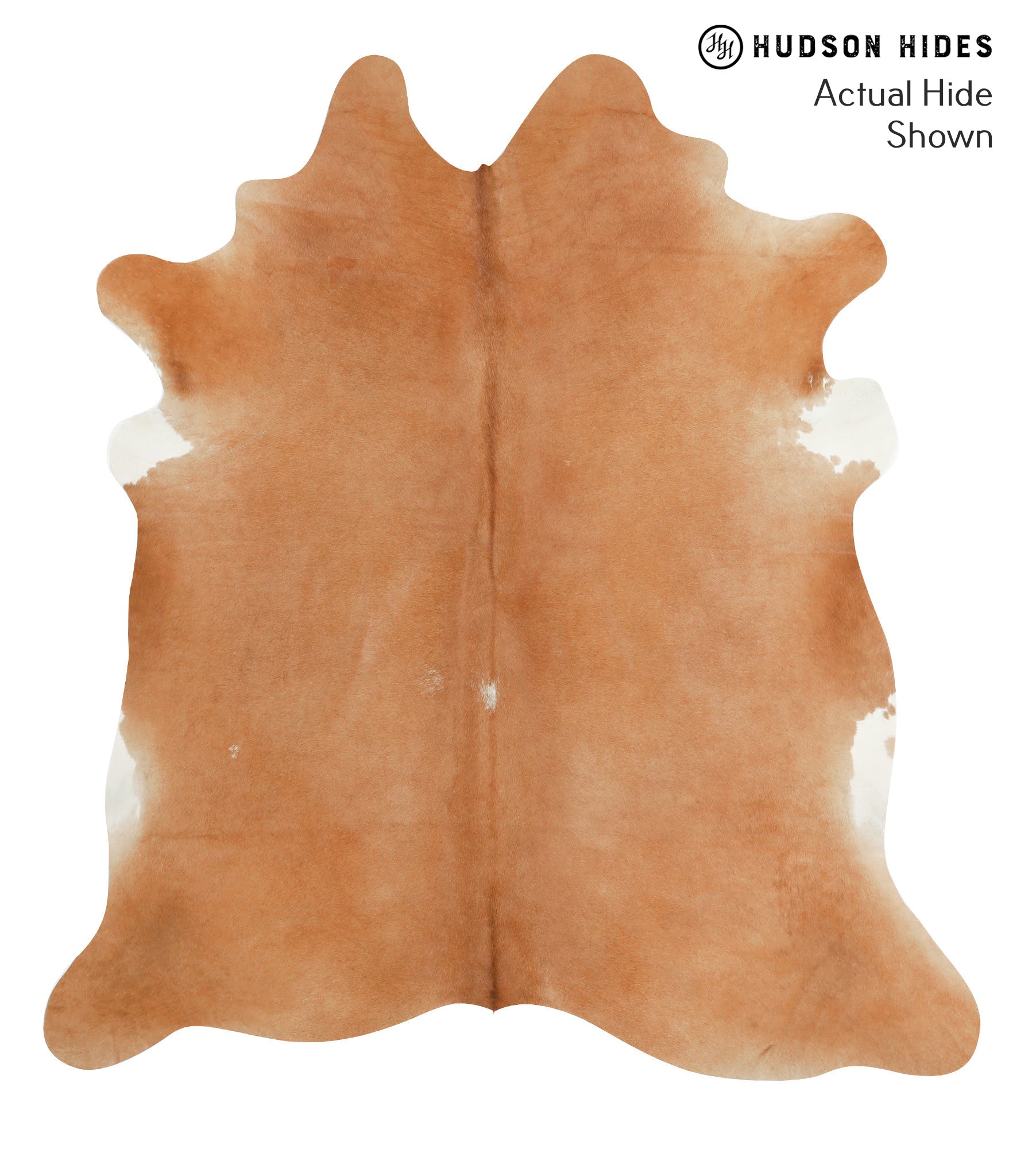 Solid Brown Cowhide Rug #40857