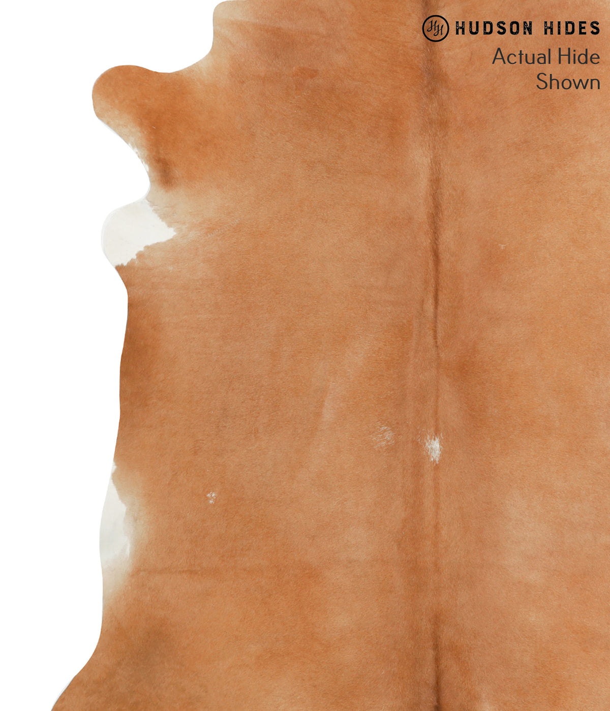 Solid Brown X-Large Brazilian Cowhide Rug 6'10"H x 6'3"W #40857 by Hudson Hides