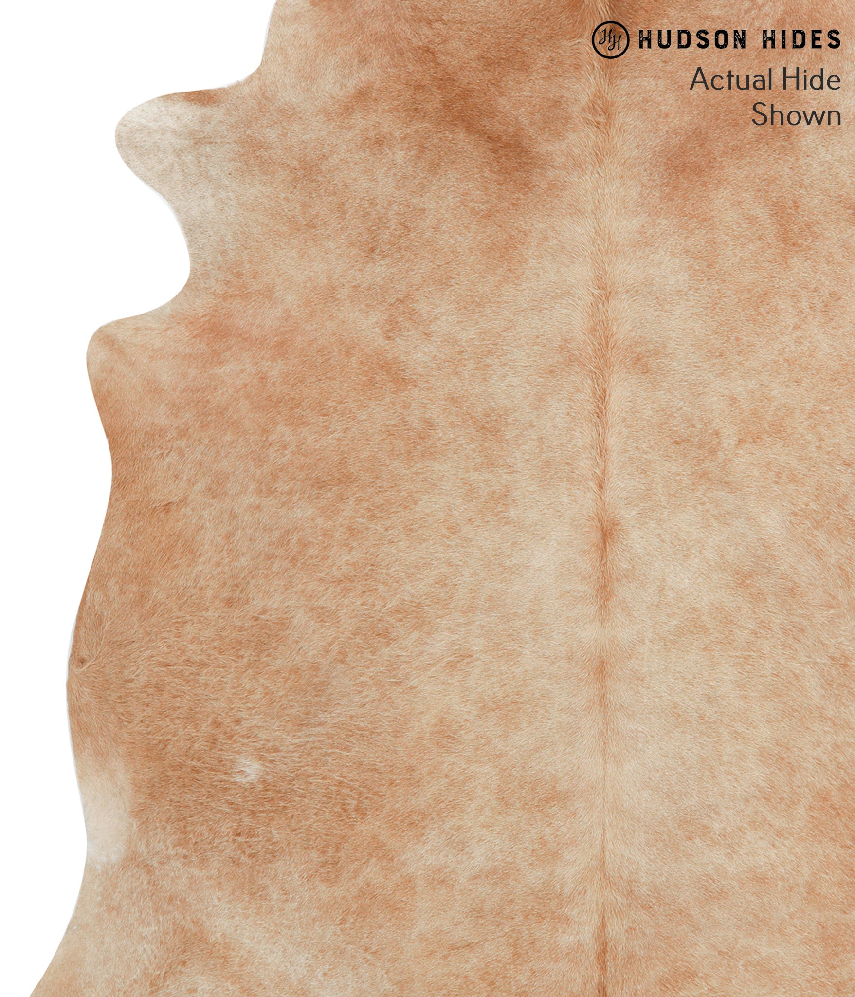 Solid Brown Cowhide Rug #40887