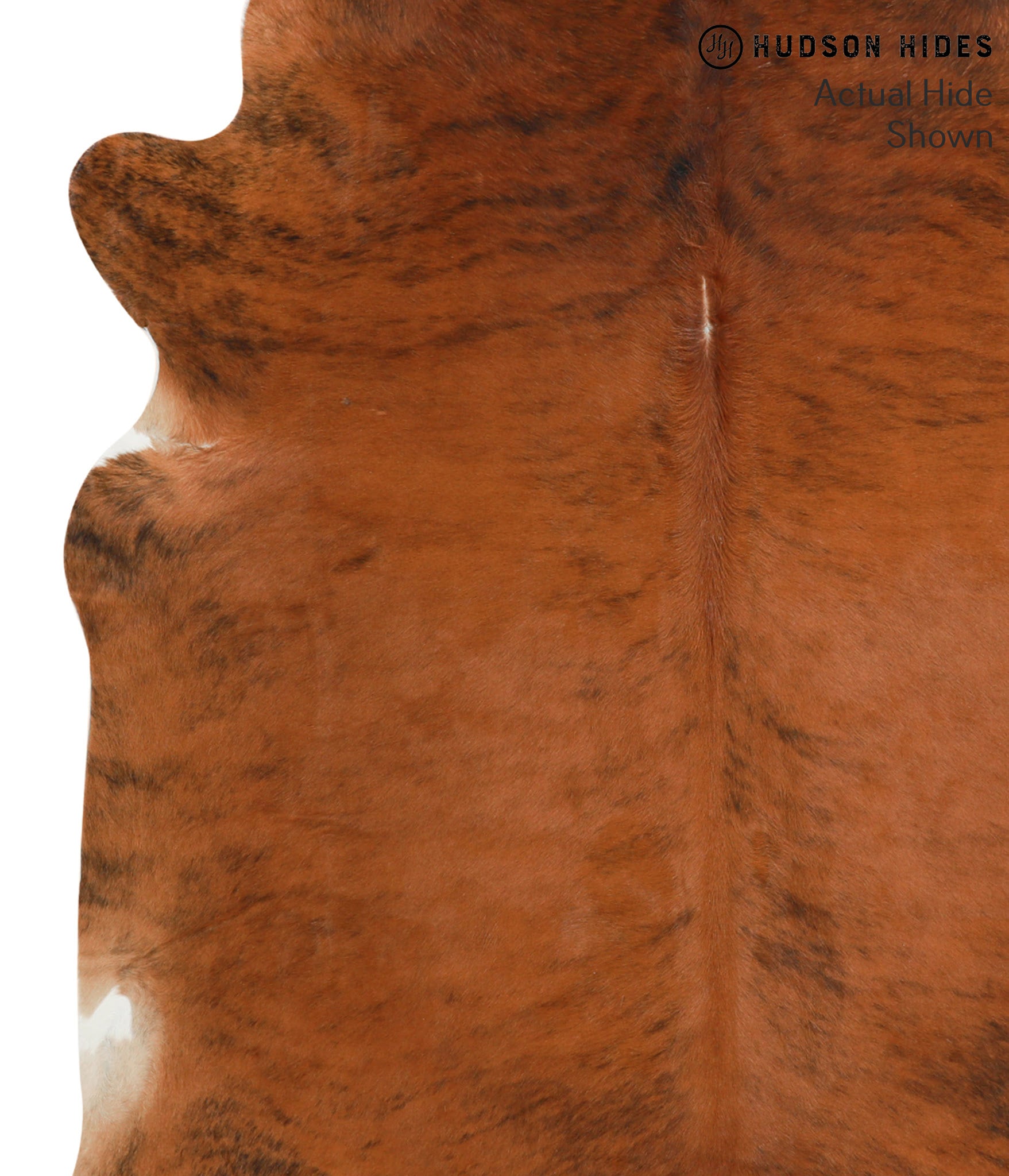 Medium Brindle Cowhide Rug #40889