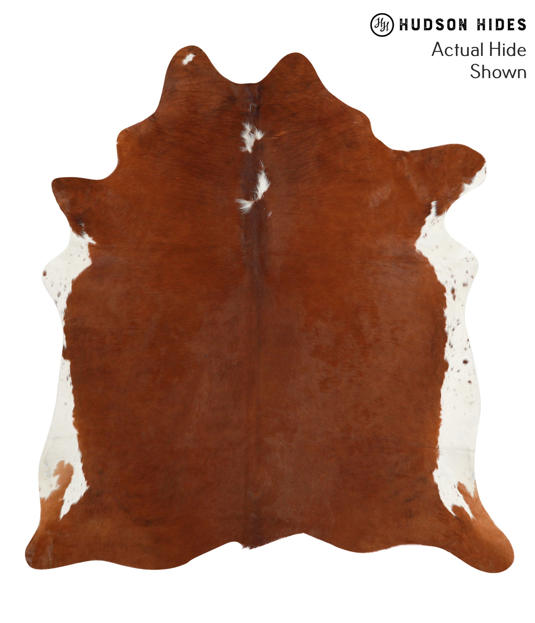 Brown and White Regular Cowhide Rug #40891