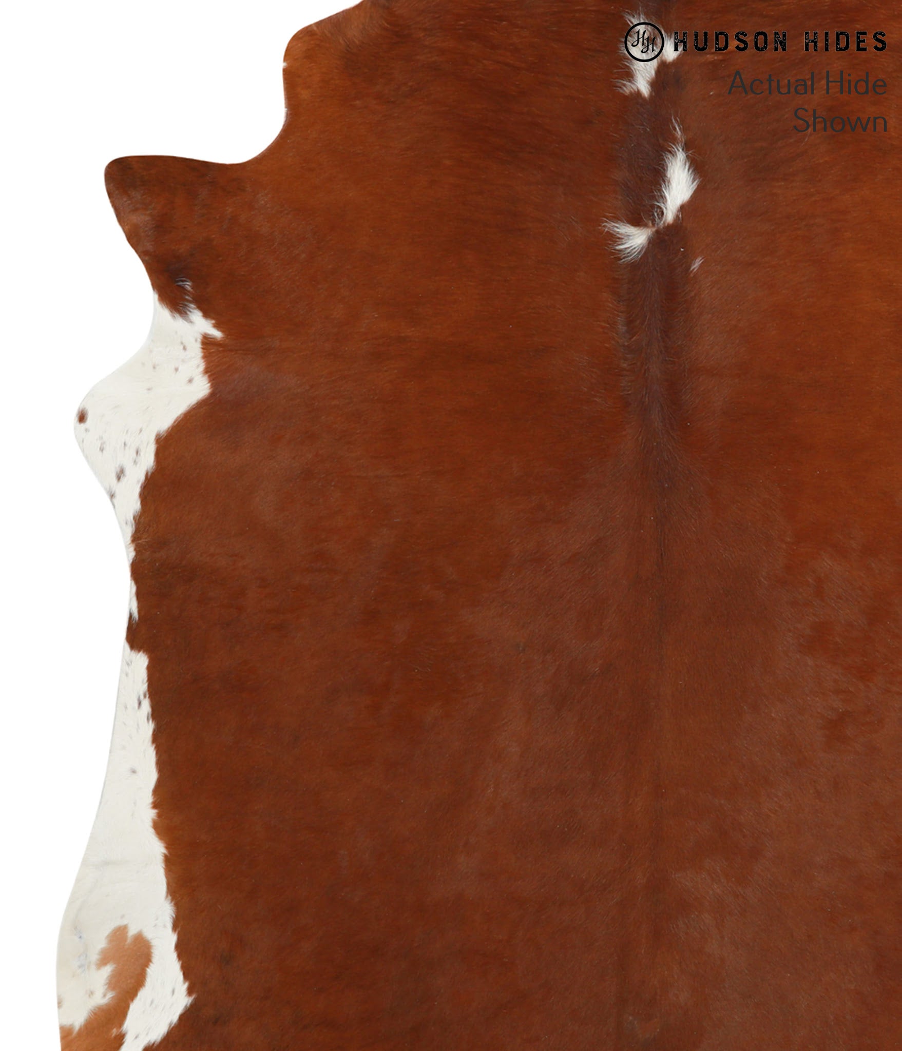 Brown and White Regular Cowhide Rug #40891