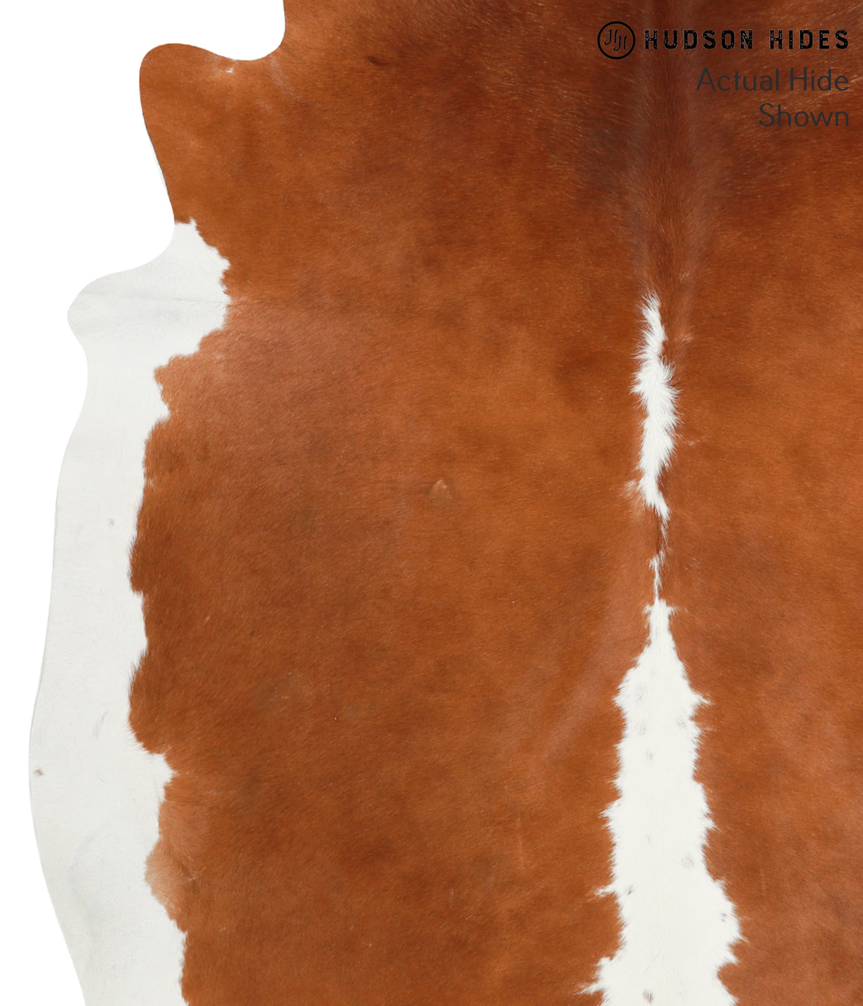 Brown and White Cowhide Rug #40908