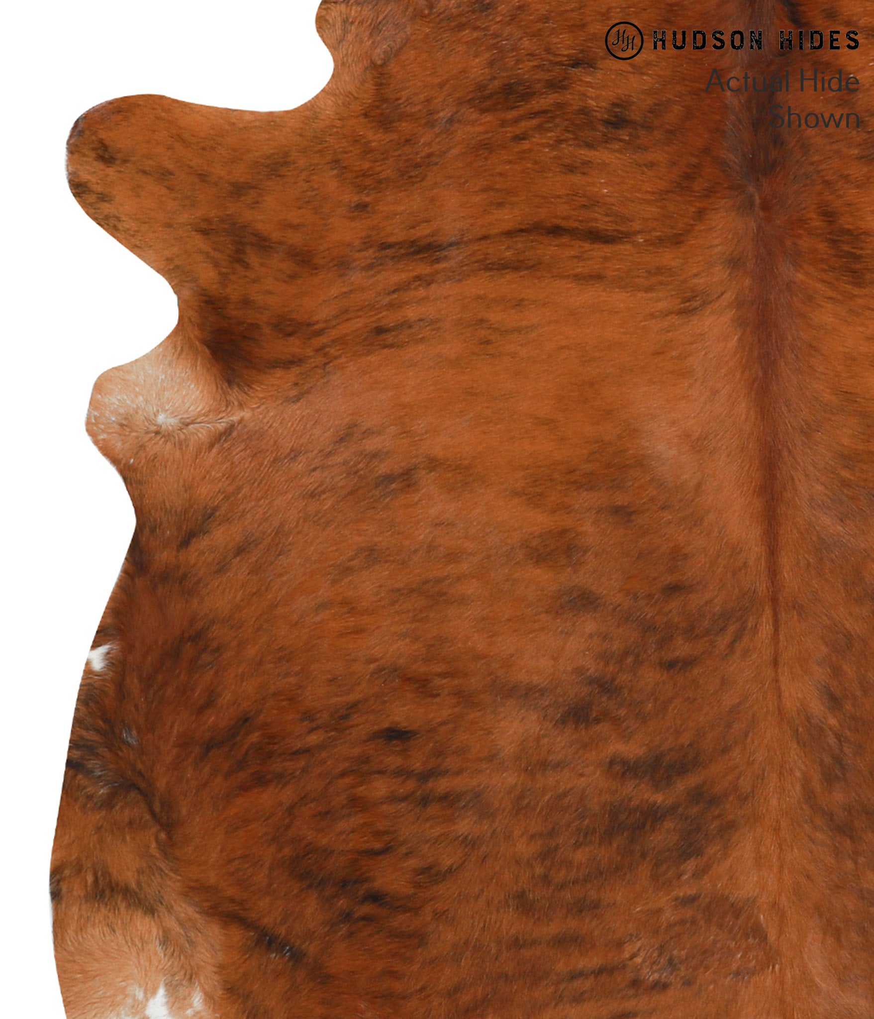 Medium Brindle Cowhide Rug #40918