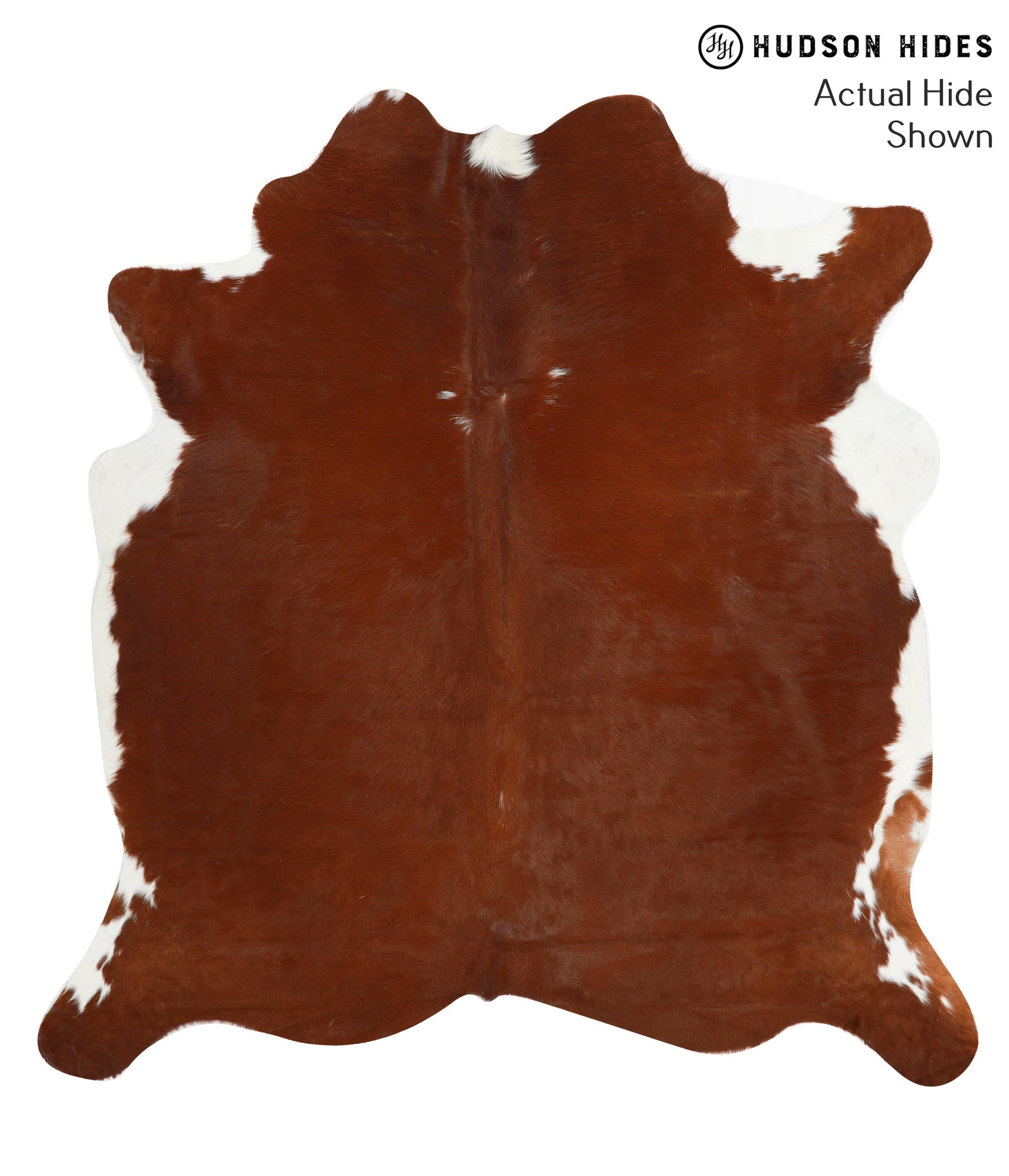 Brown and White Regular Cowhide Rug #40923