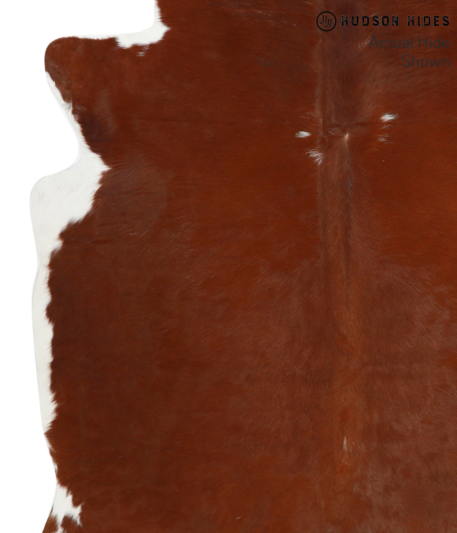 Brown and White Regular Cowhide Rug #40923