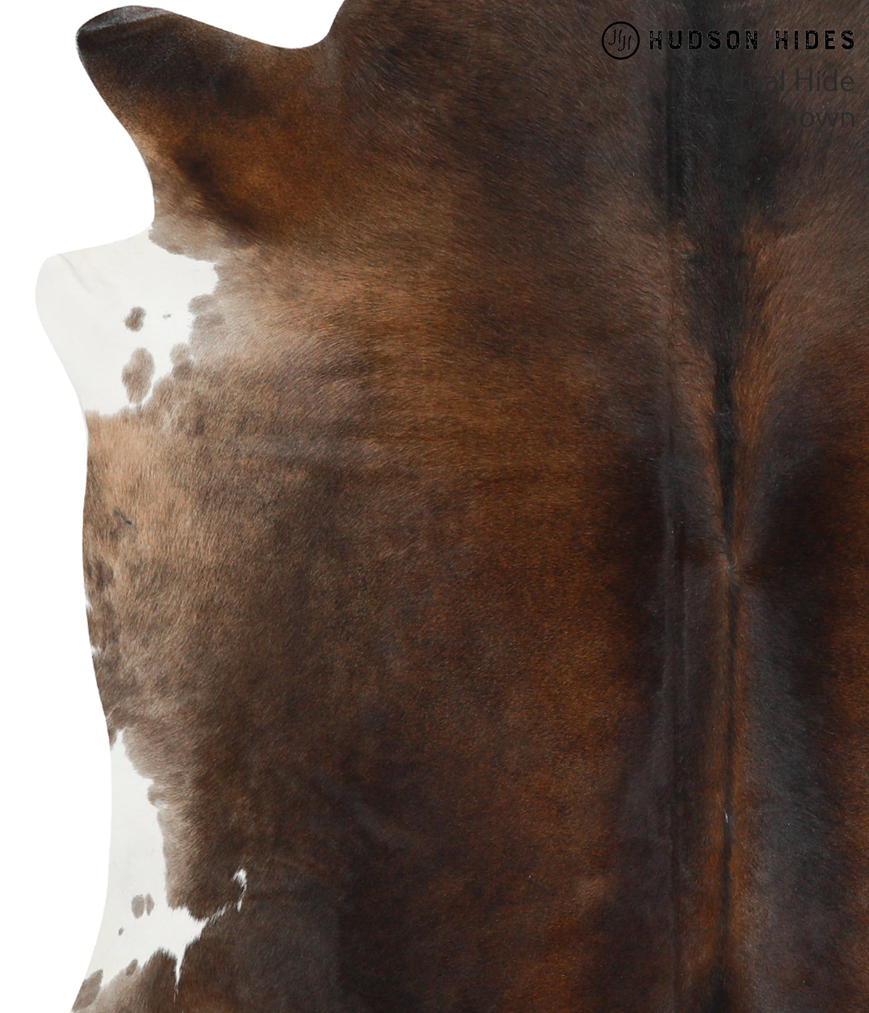 Chocolate Cowhide Rug #40948