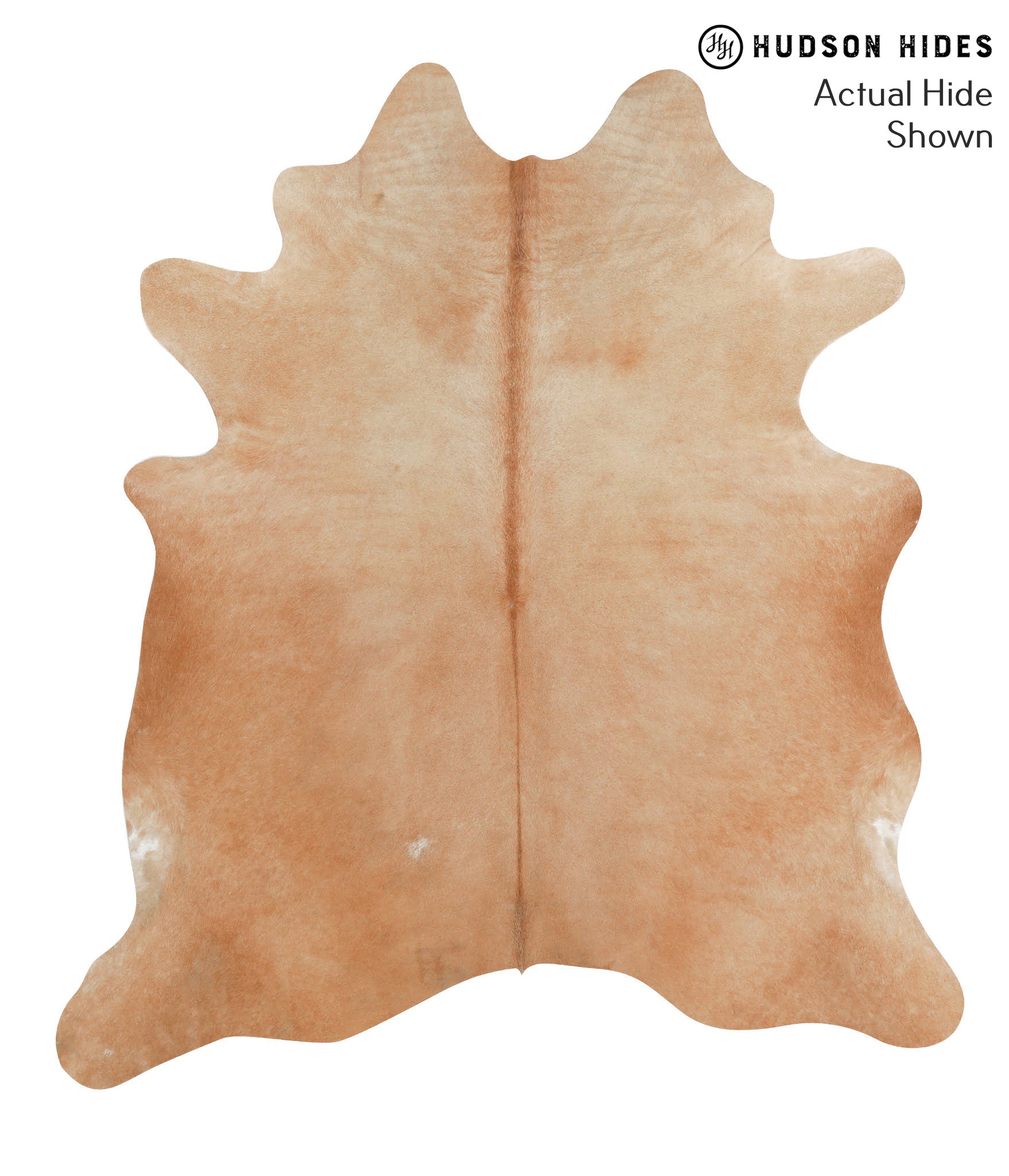 Solid Brown Cowhide Rug #40971
