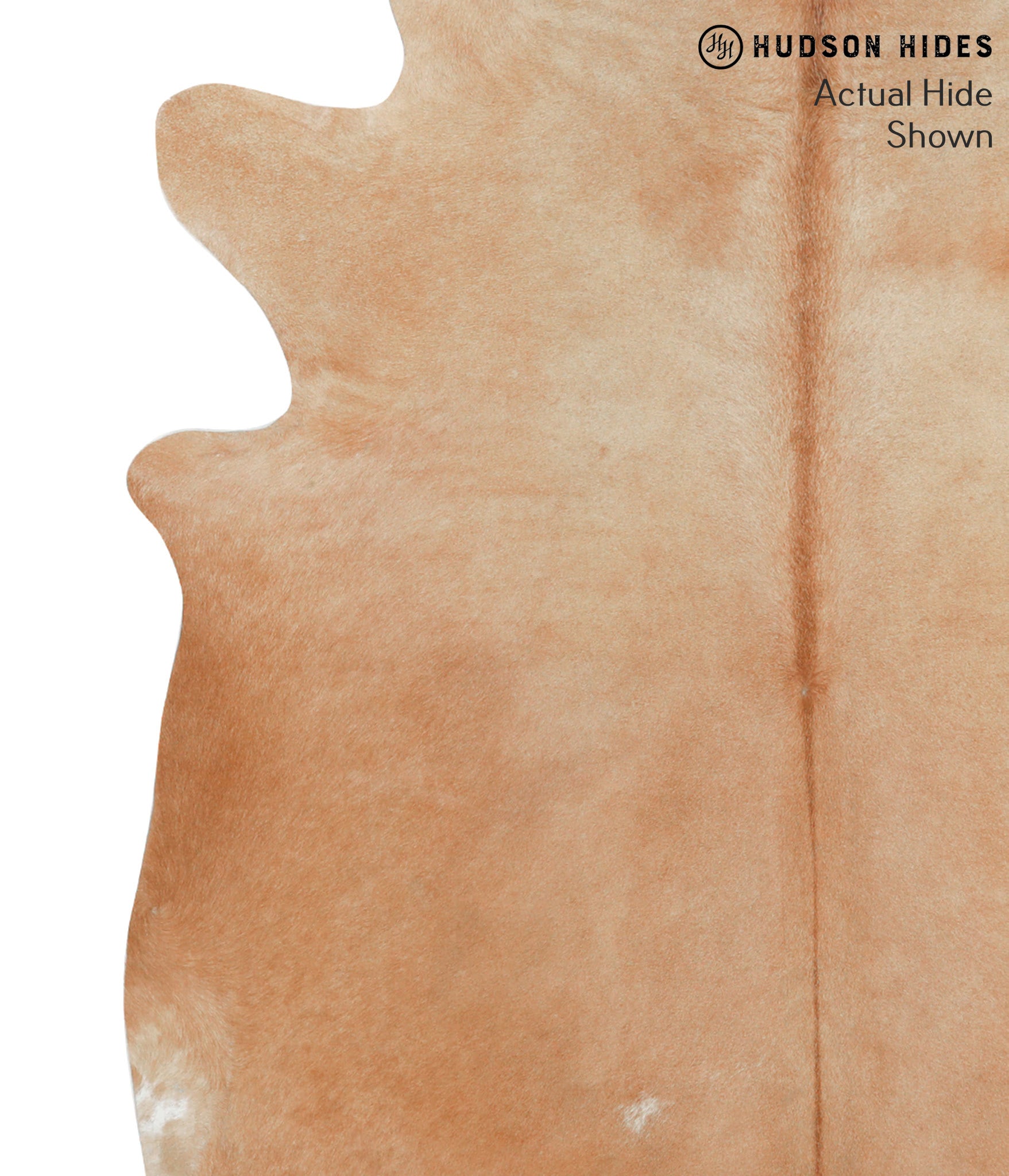 Solid Brown Cowhide Rug #40971