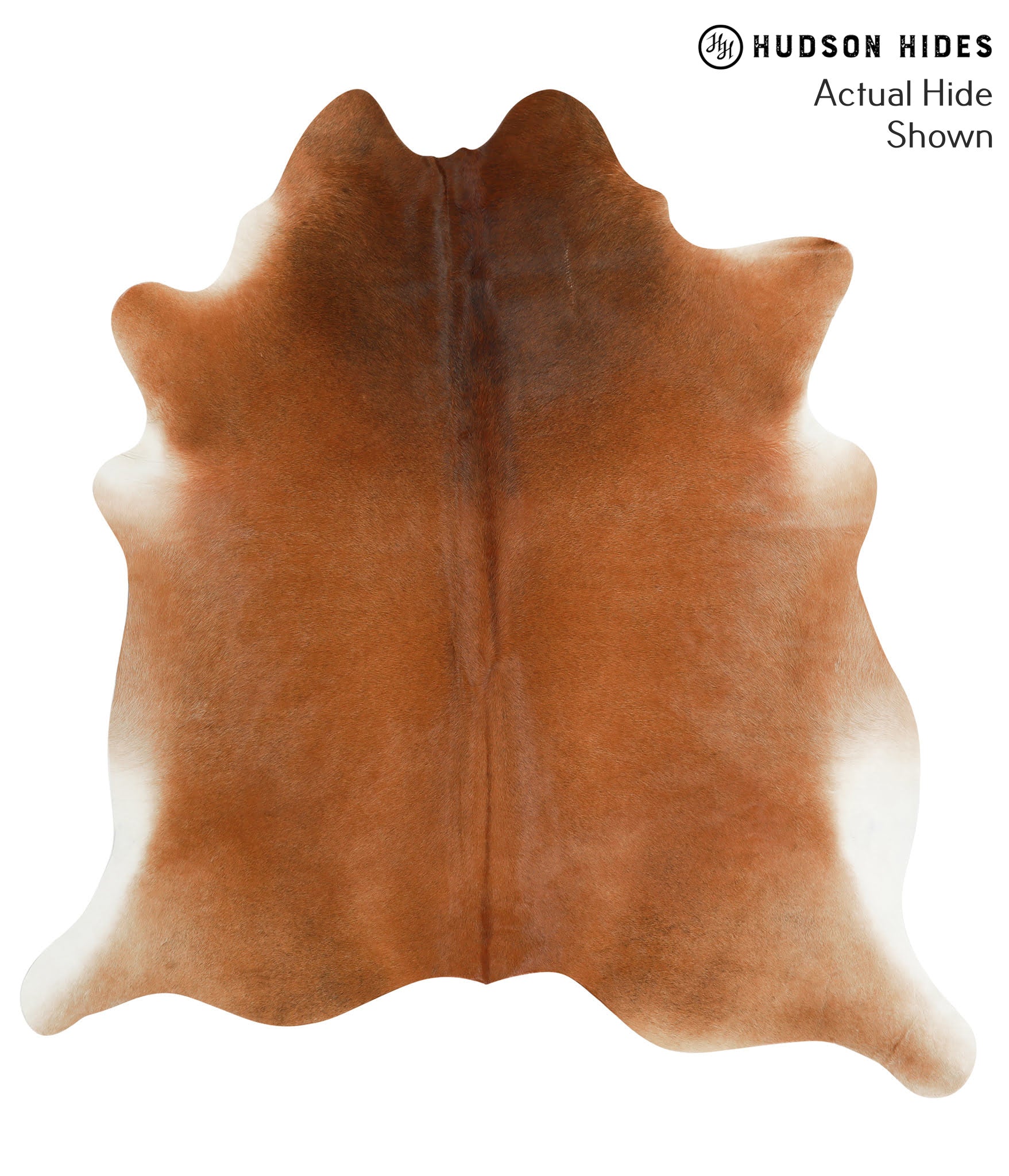 Brown with Red Cowhide Rug #40997