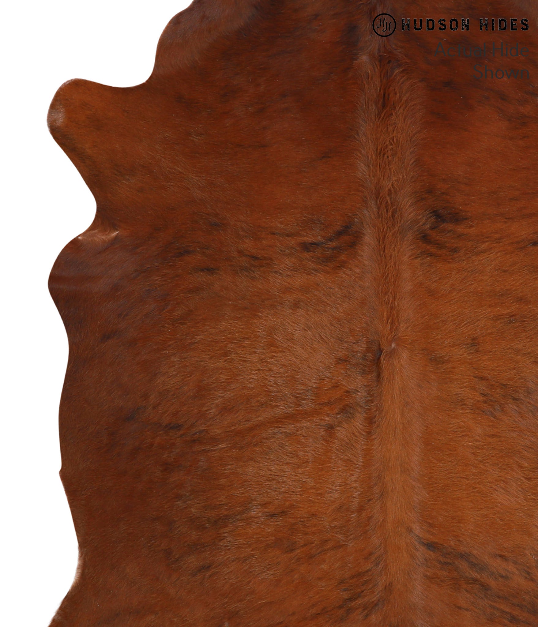 Medium Brindle Cowhide Rug #41000