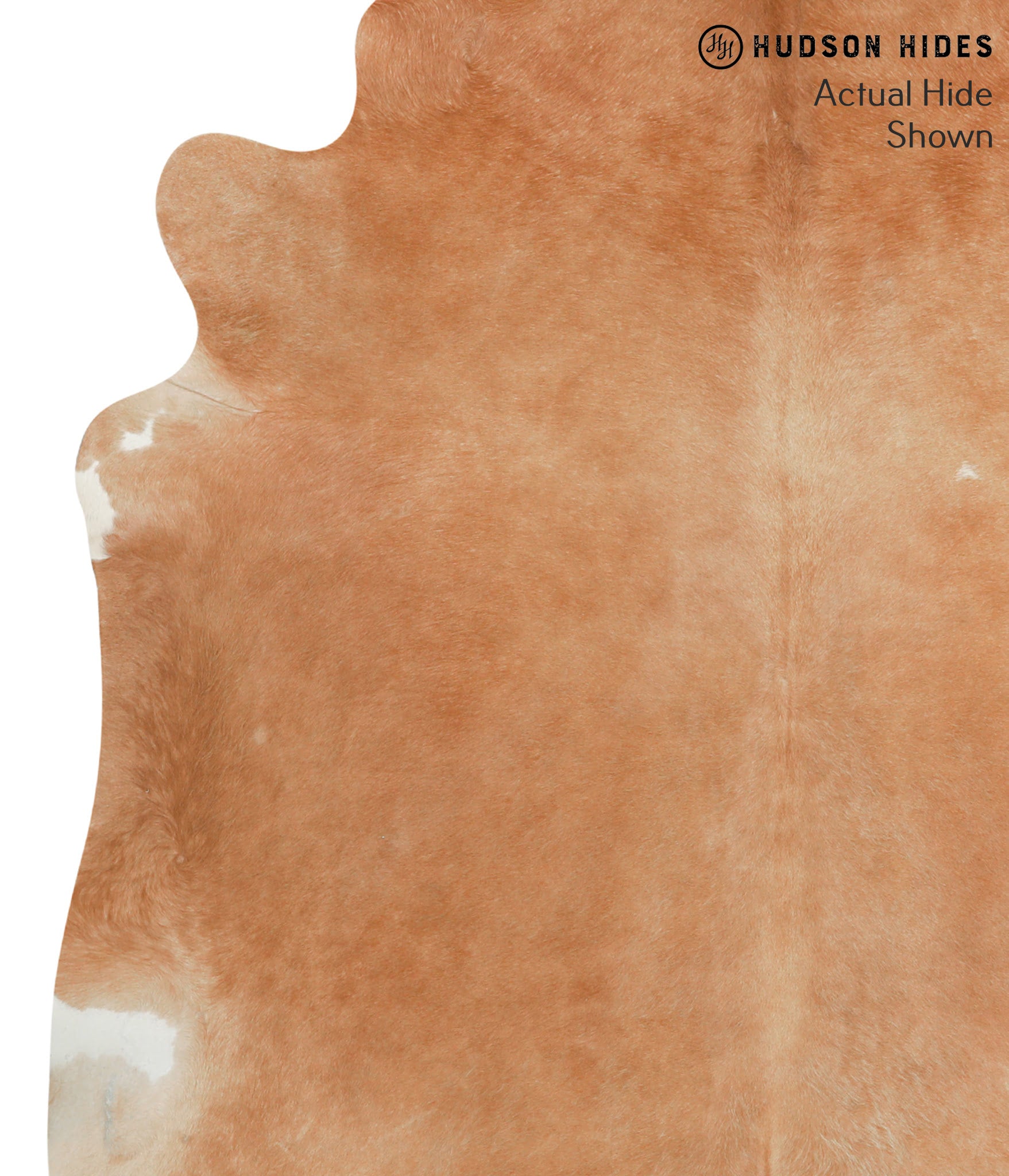 Solid Brown Cowhide Rug #41008