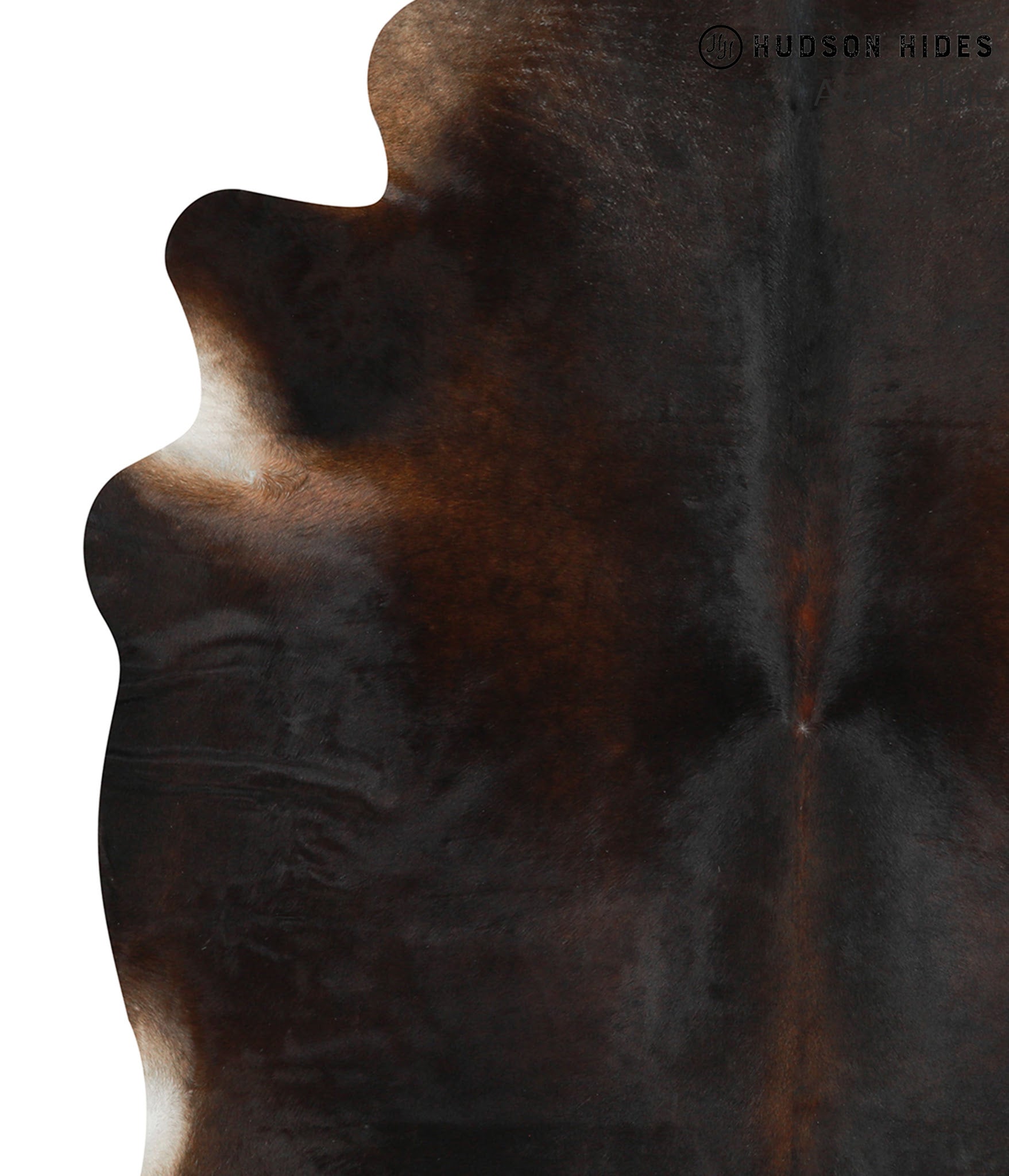 Chocolate Cowhide Rug #41023