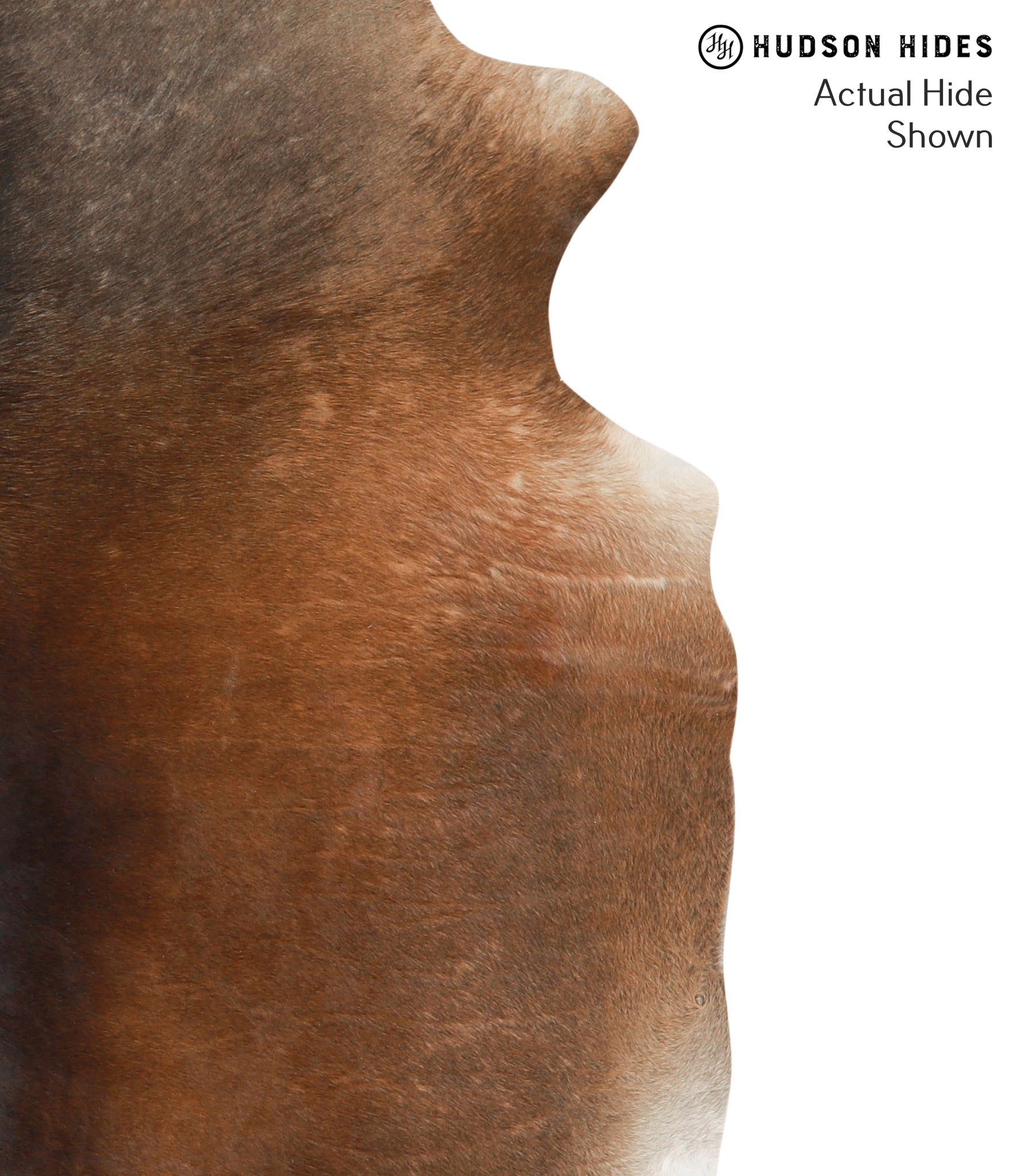 Brown with Red Cowhide Rug #41027