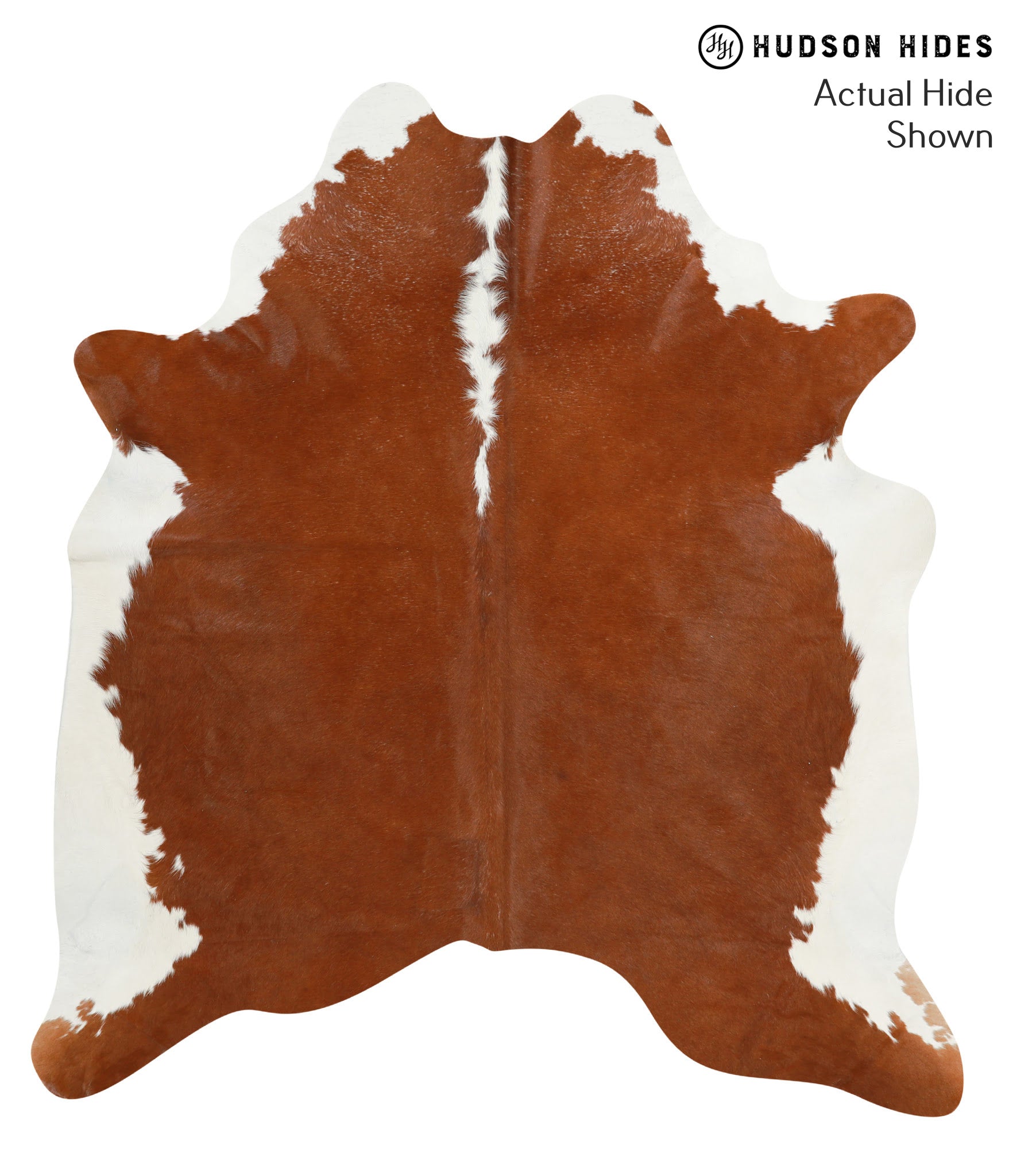 Brown and White Regular Cowhide Rug #41052