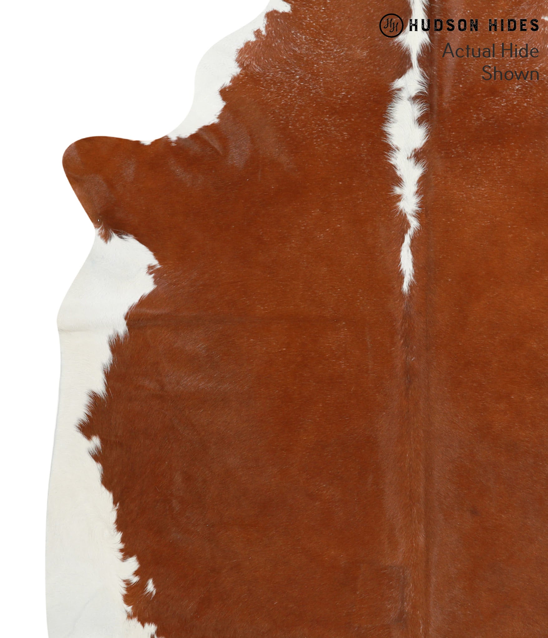Brown and White Regular Cowhide Rug #41052