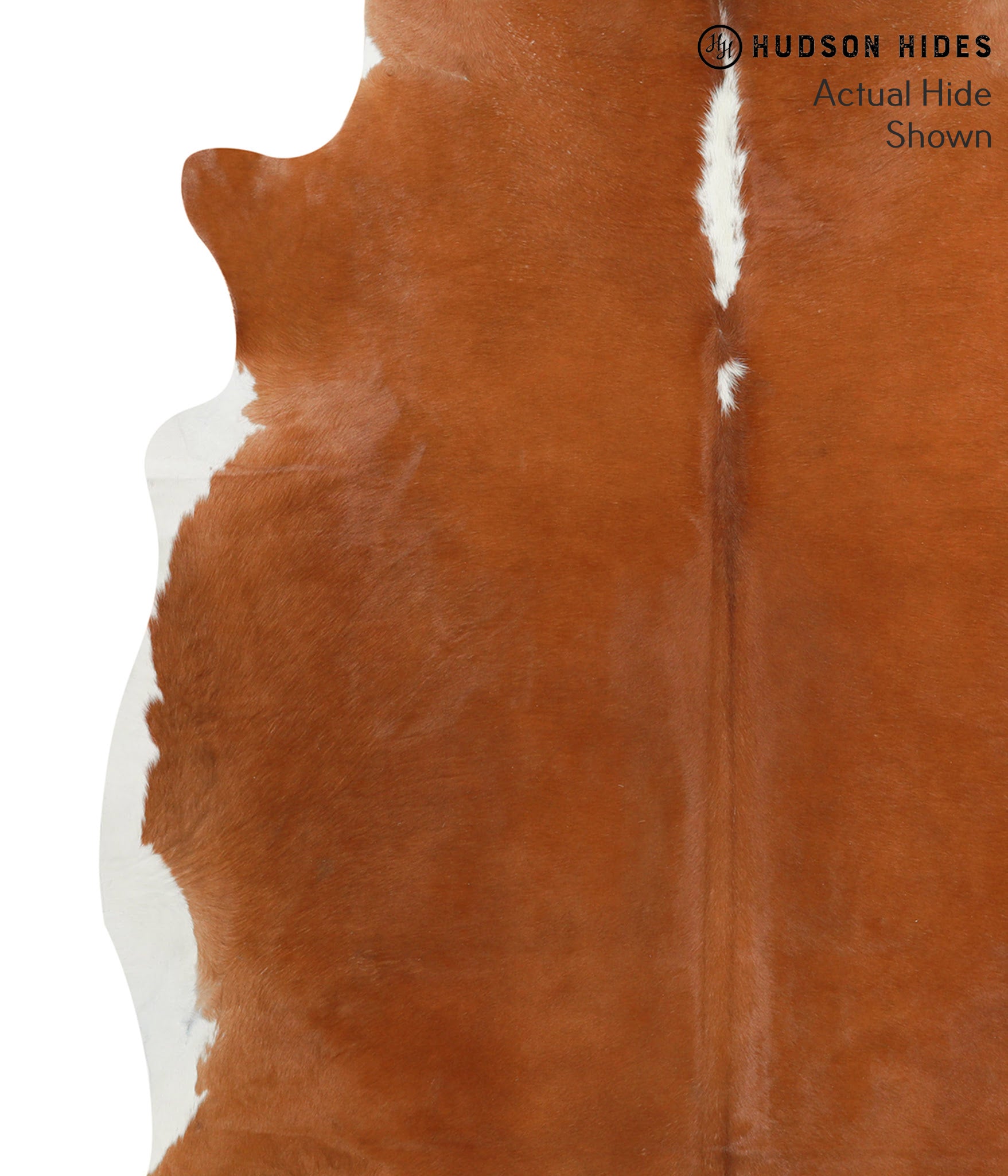 Brown and White Regular Cowhide Rug #41080