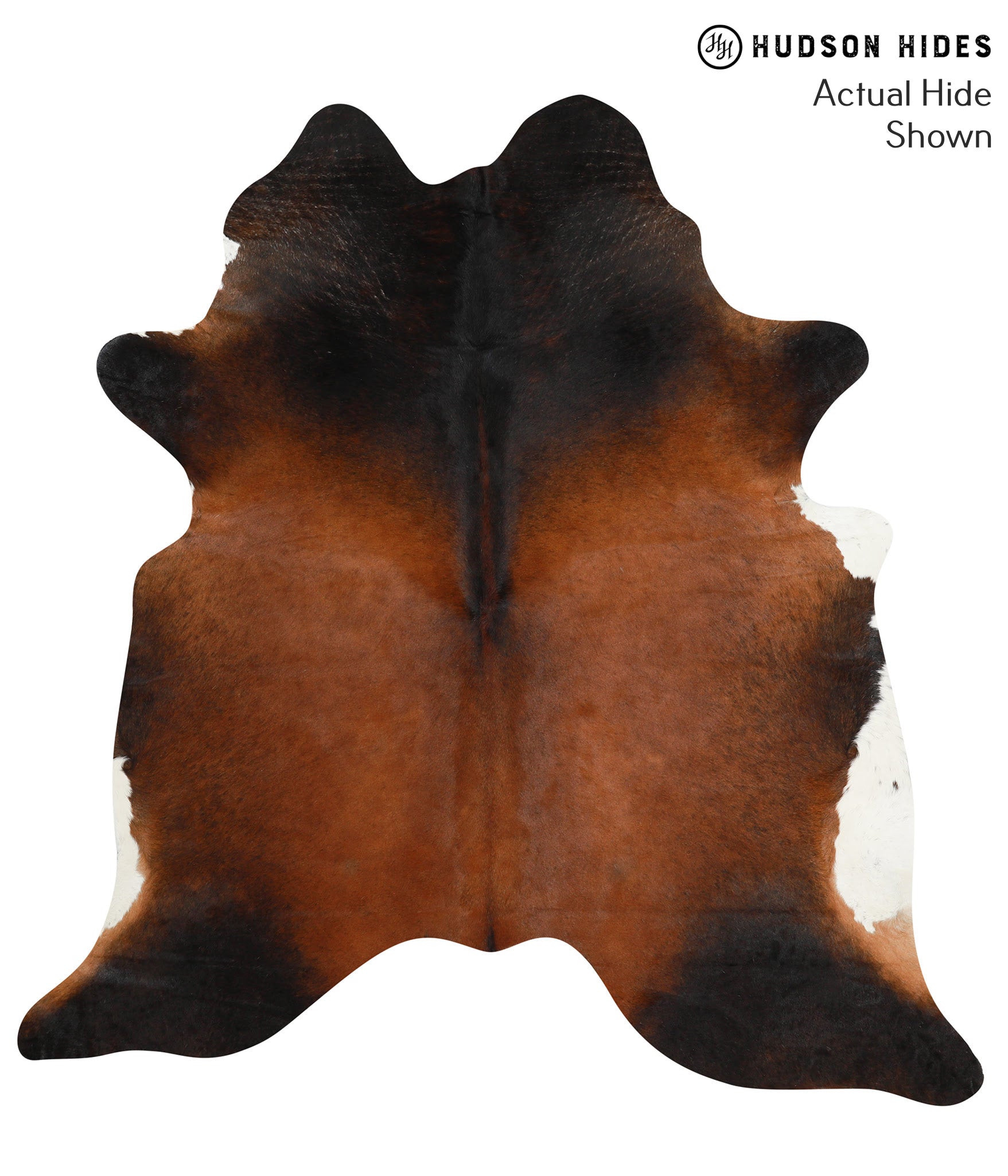 Brown with Red Cowhide Rug #41110