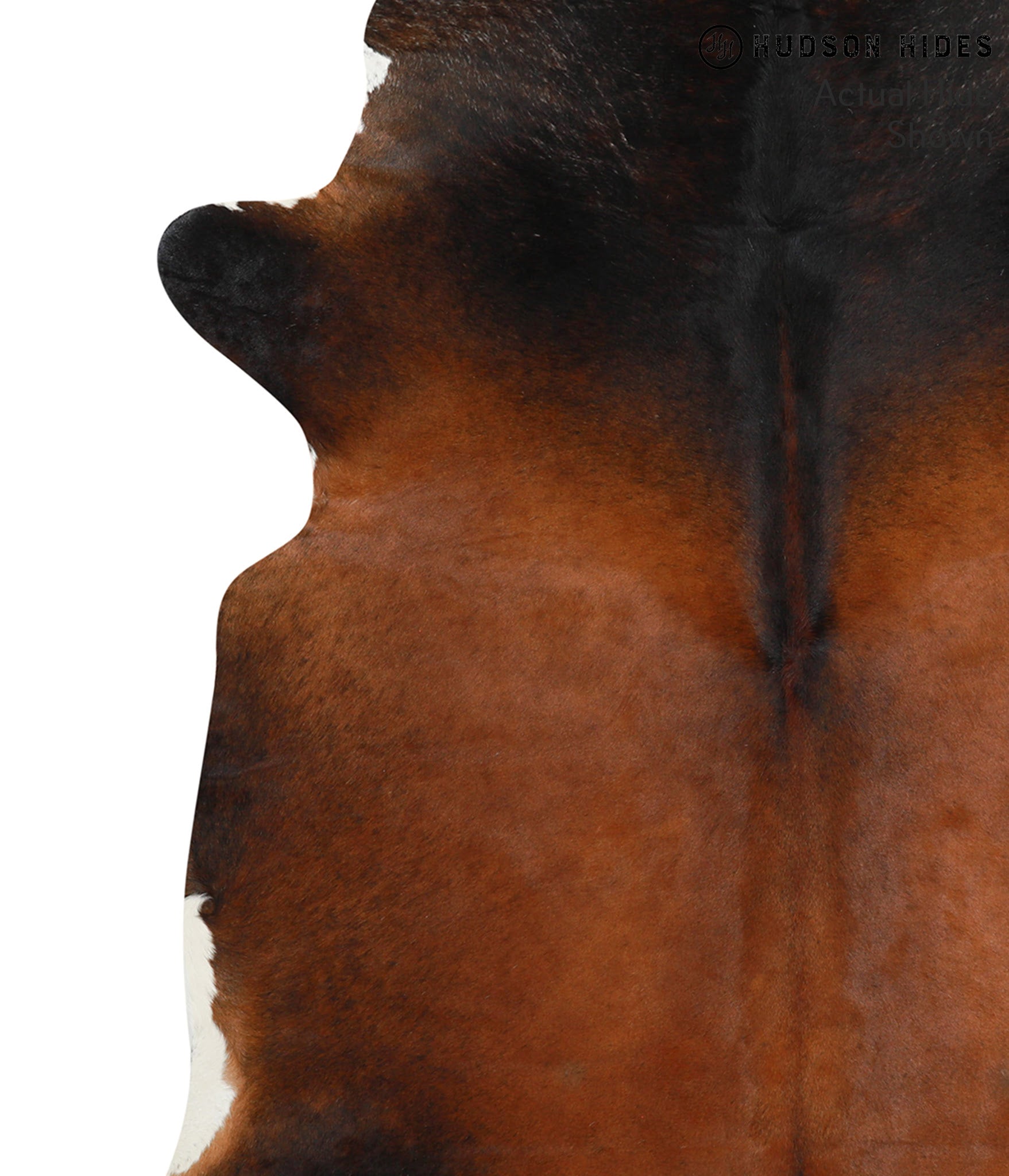 Brown with Red Cowhide Rug #41110