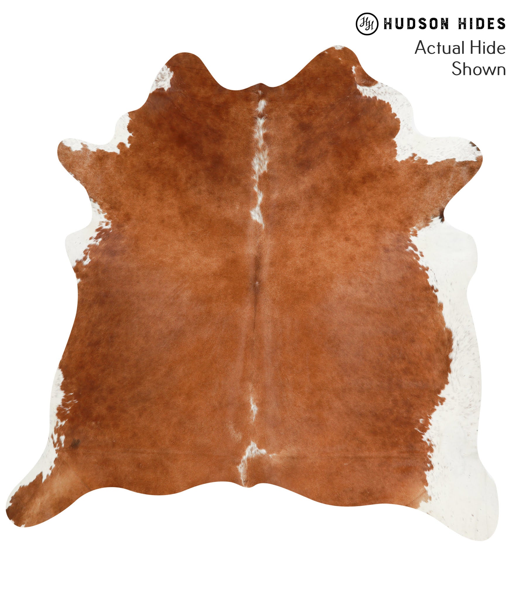 Brown and White Regular Cowhide Rug #41136