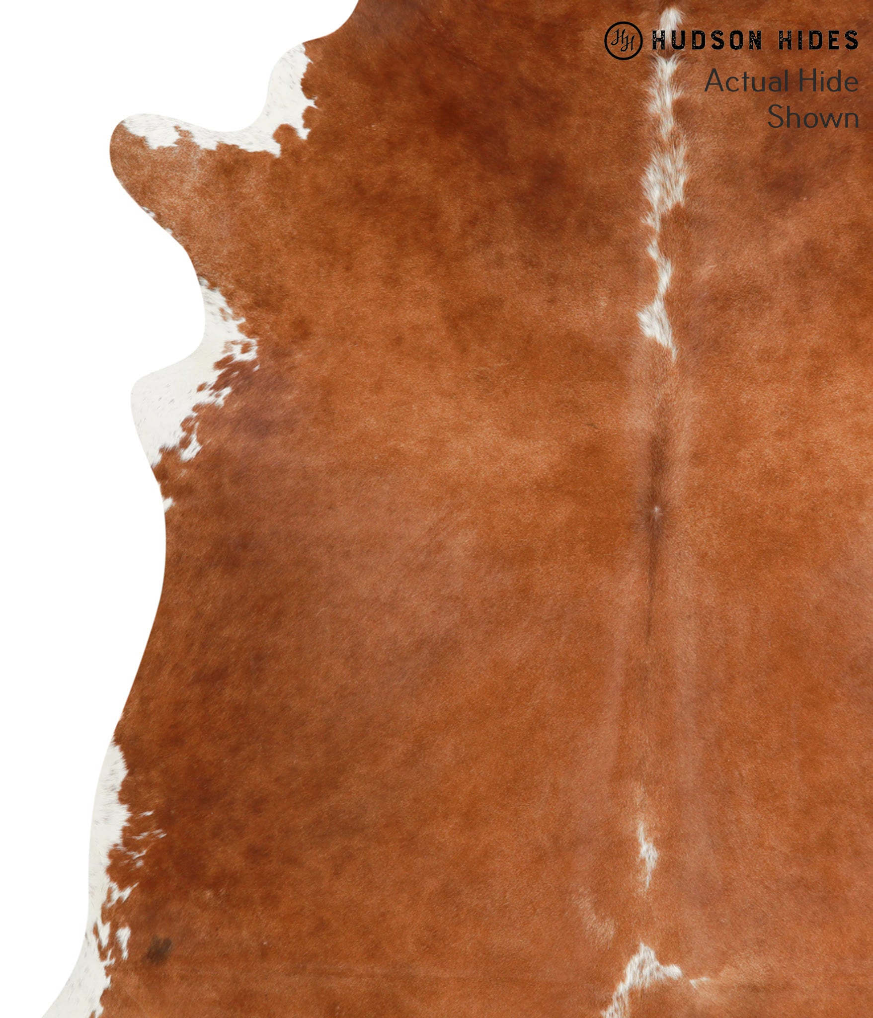 Brown and White Regular Cowhide Rug #41136