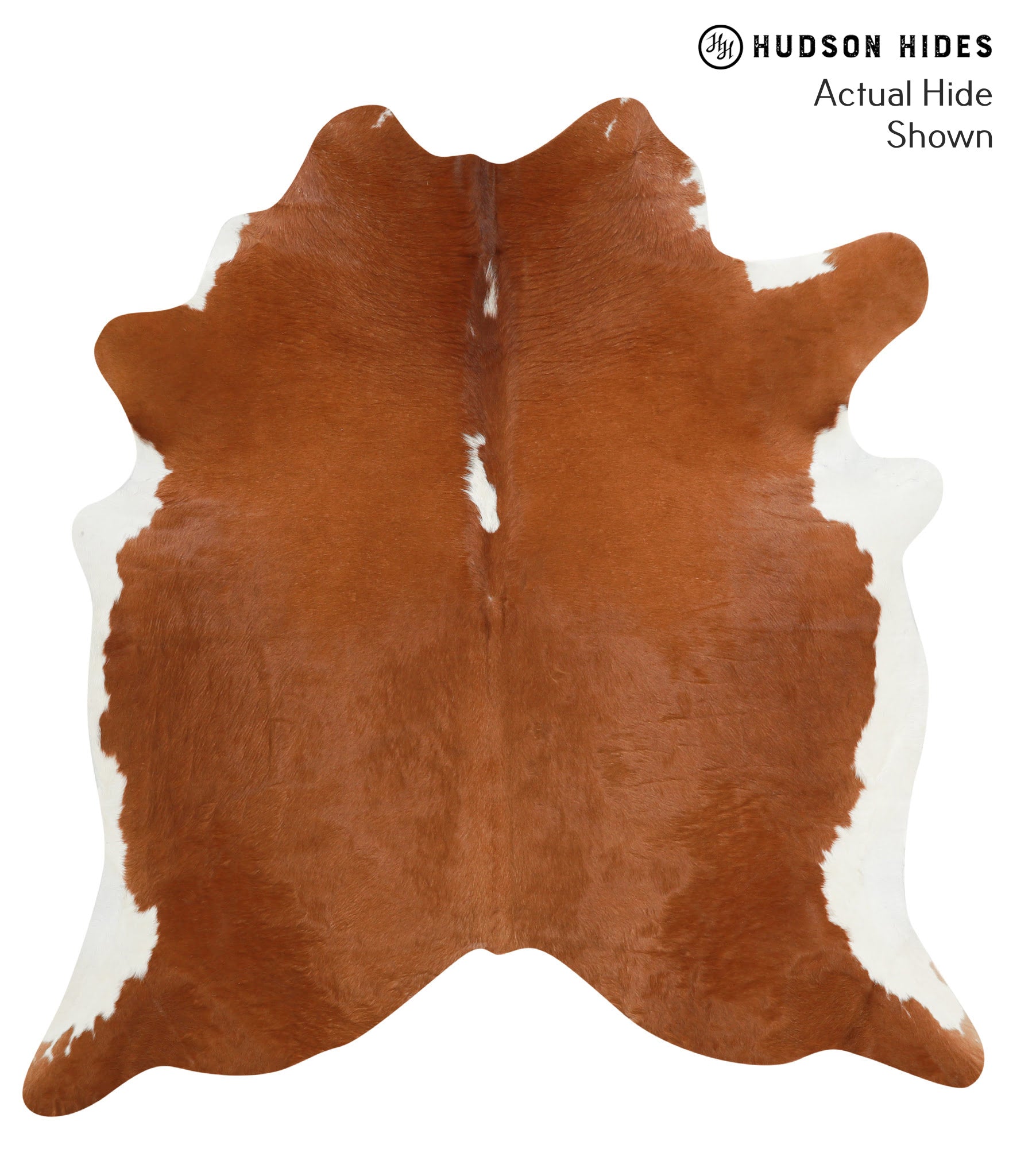 Brown and White Regular Cowhide Rug #41174